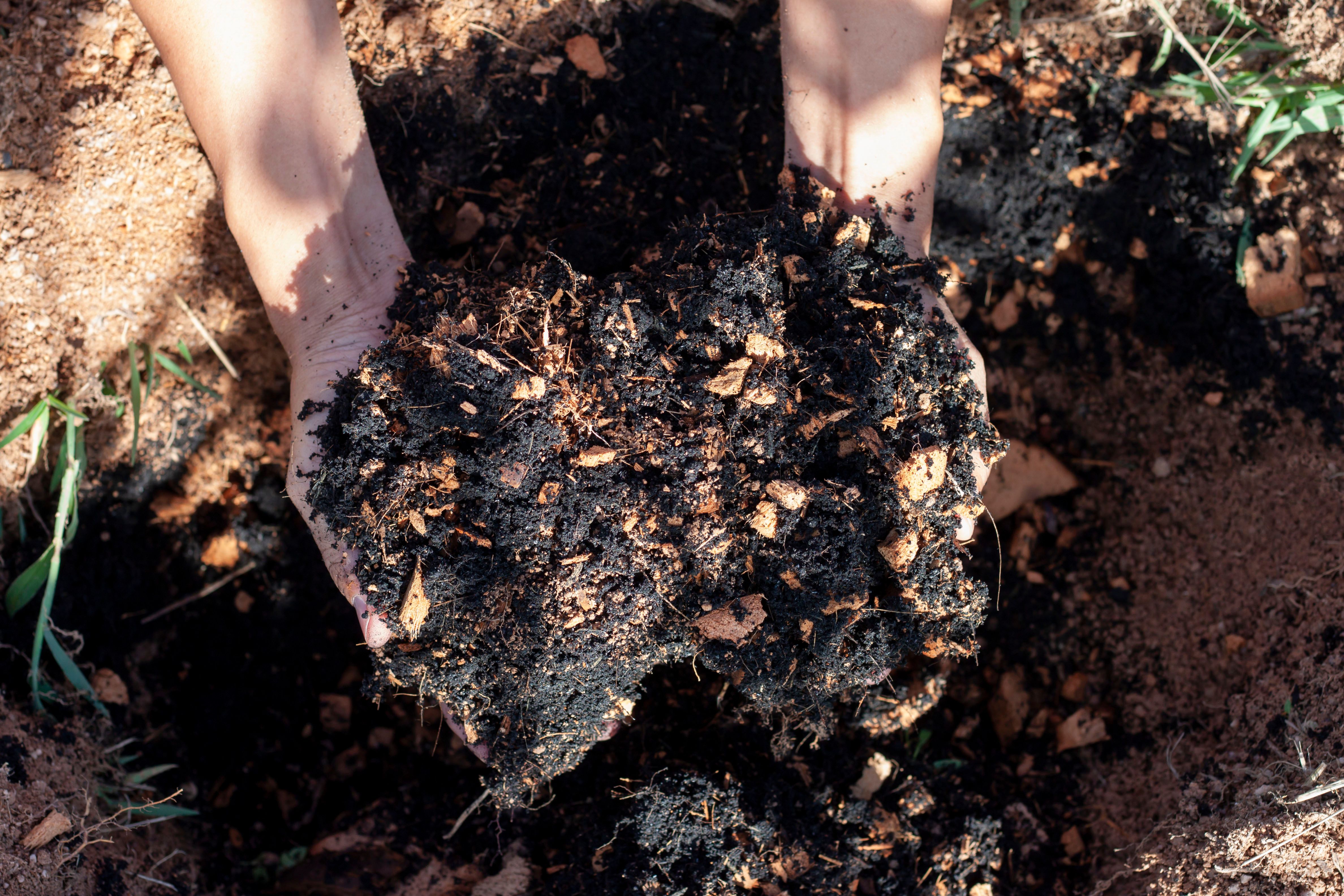 natural garden compost