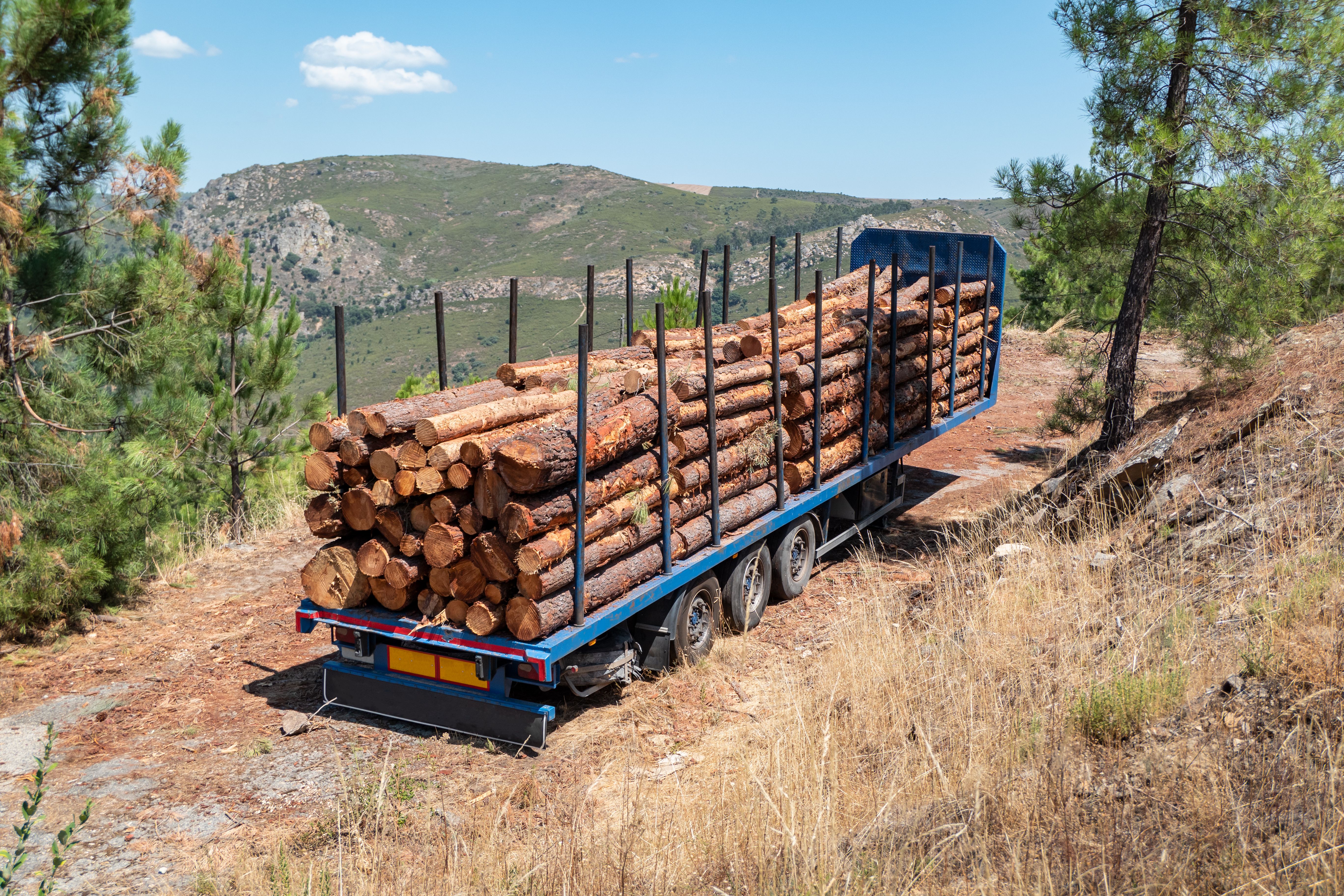 logística transporte