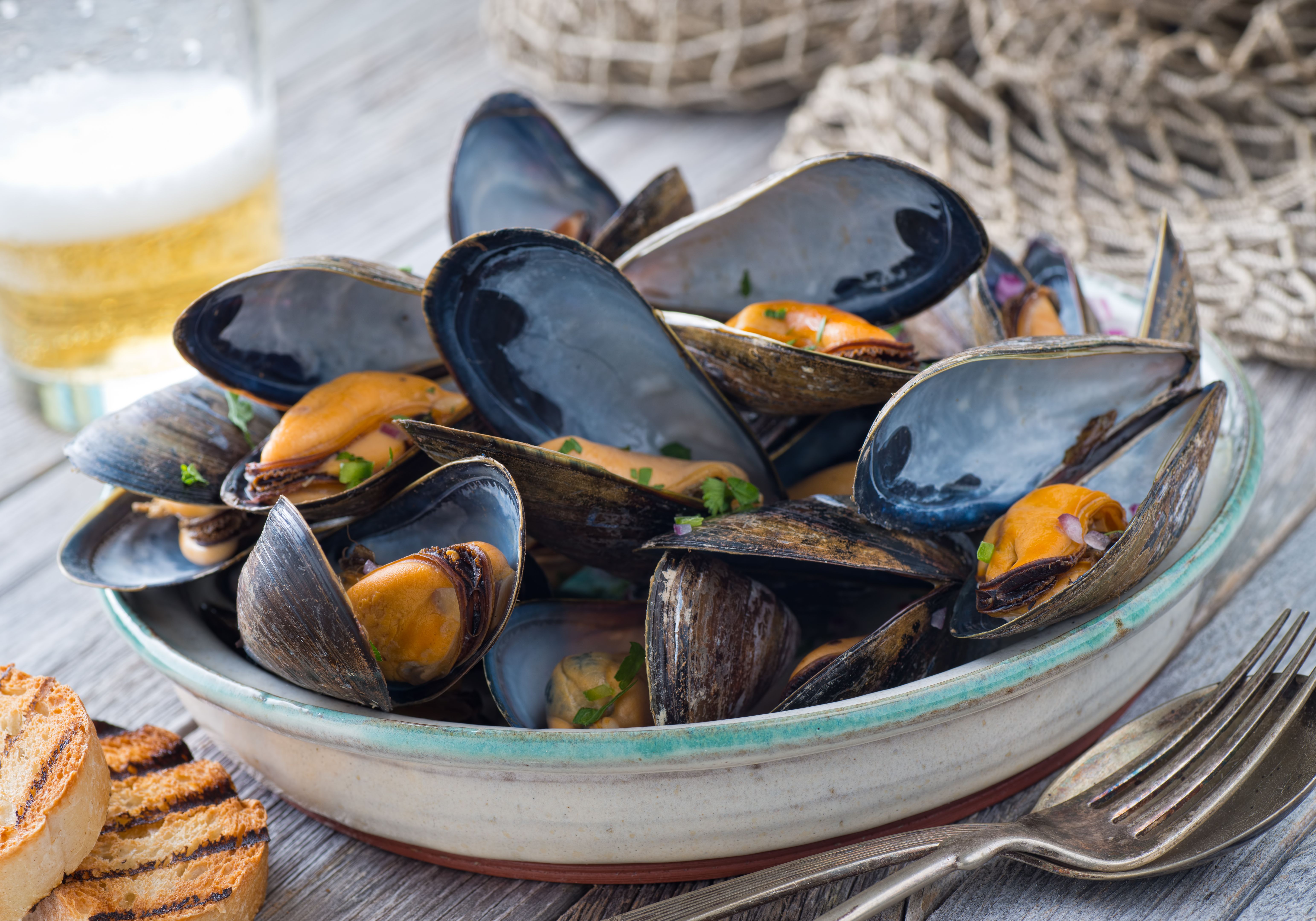 steaming mussels