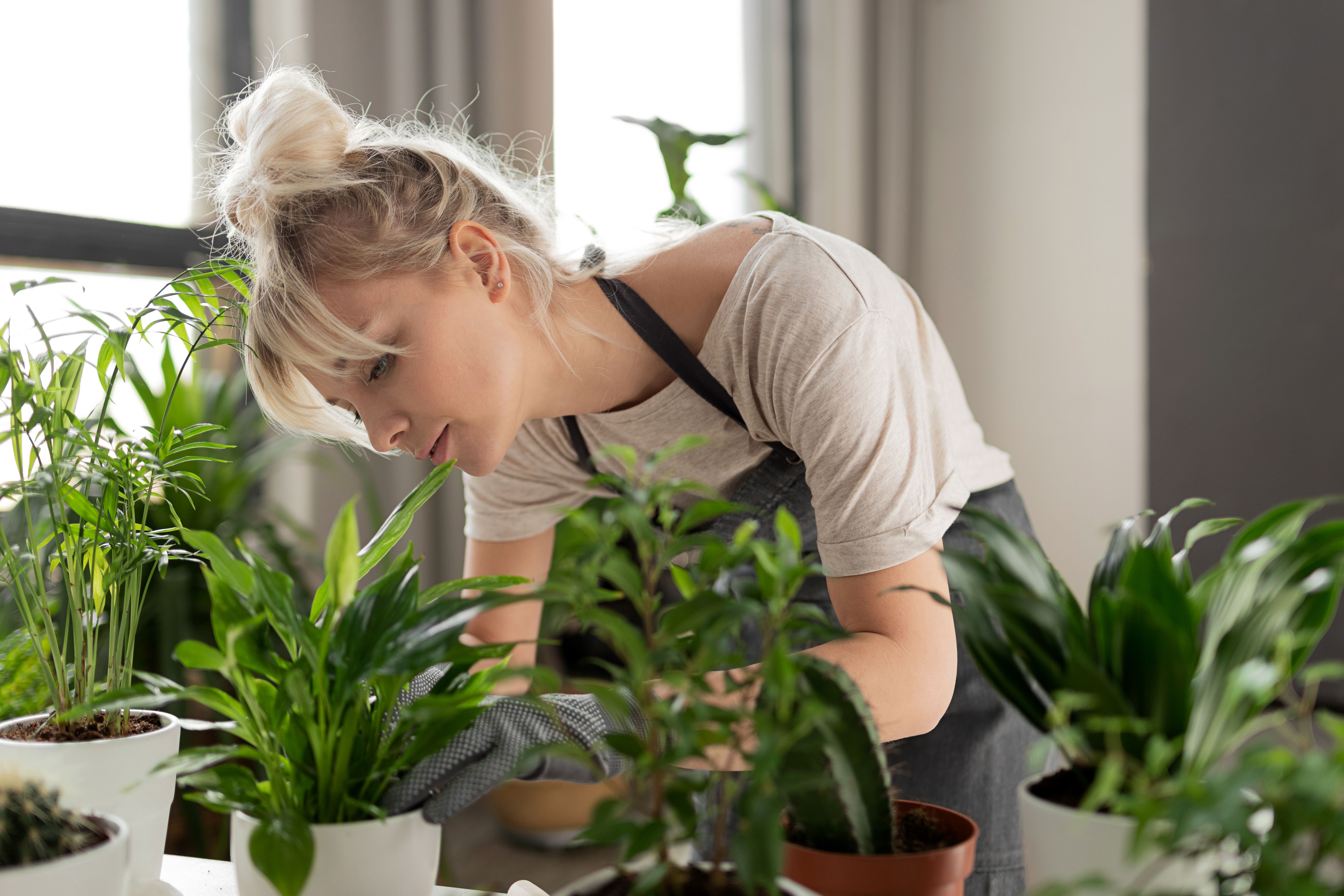 cleaning flowers