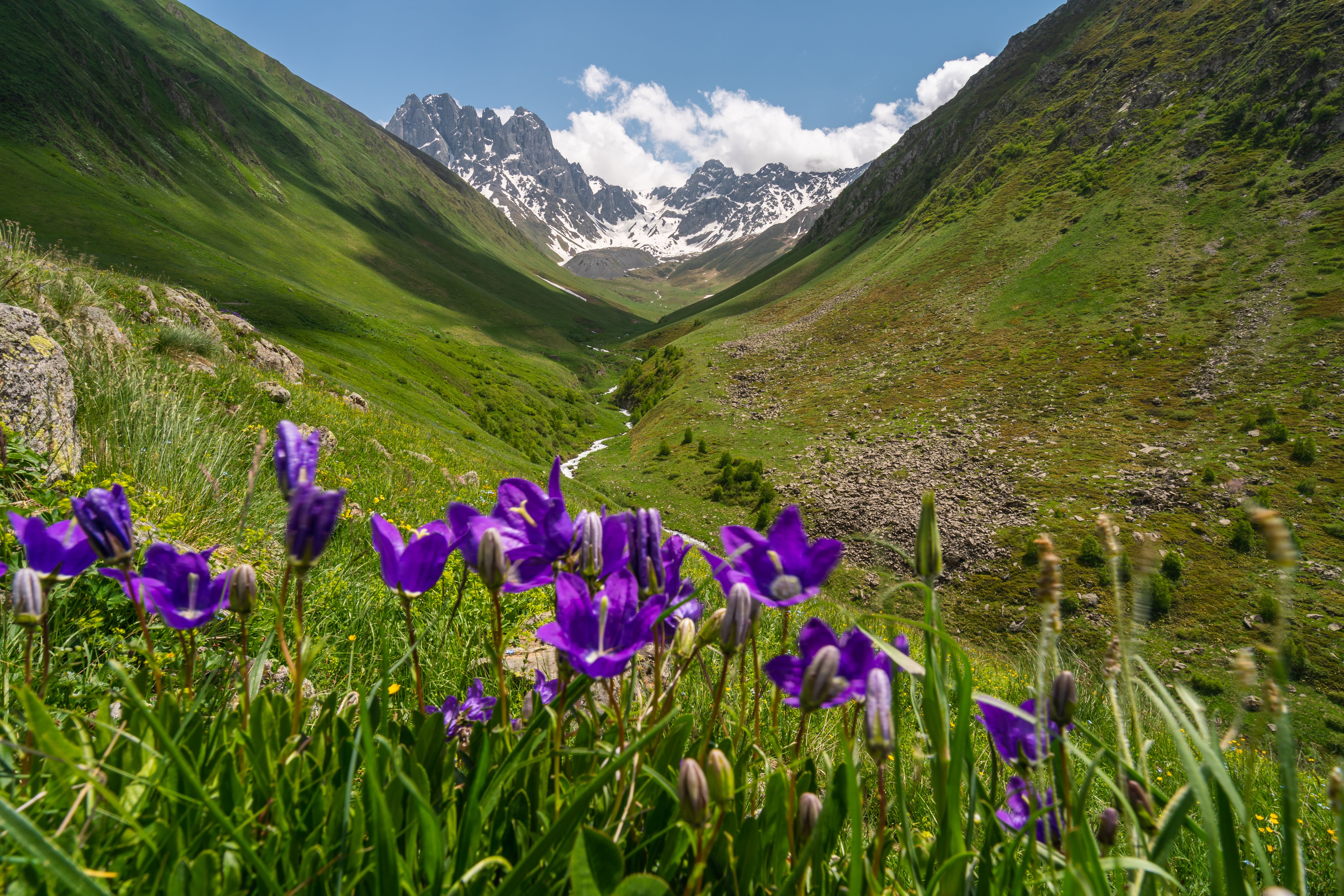 Summer season in Juta valley, small village in Caucasus mountains range in Georgia country