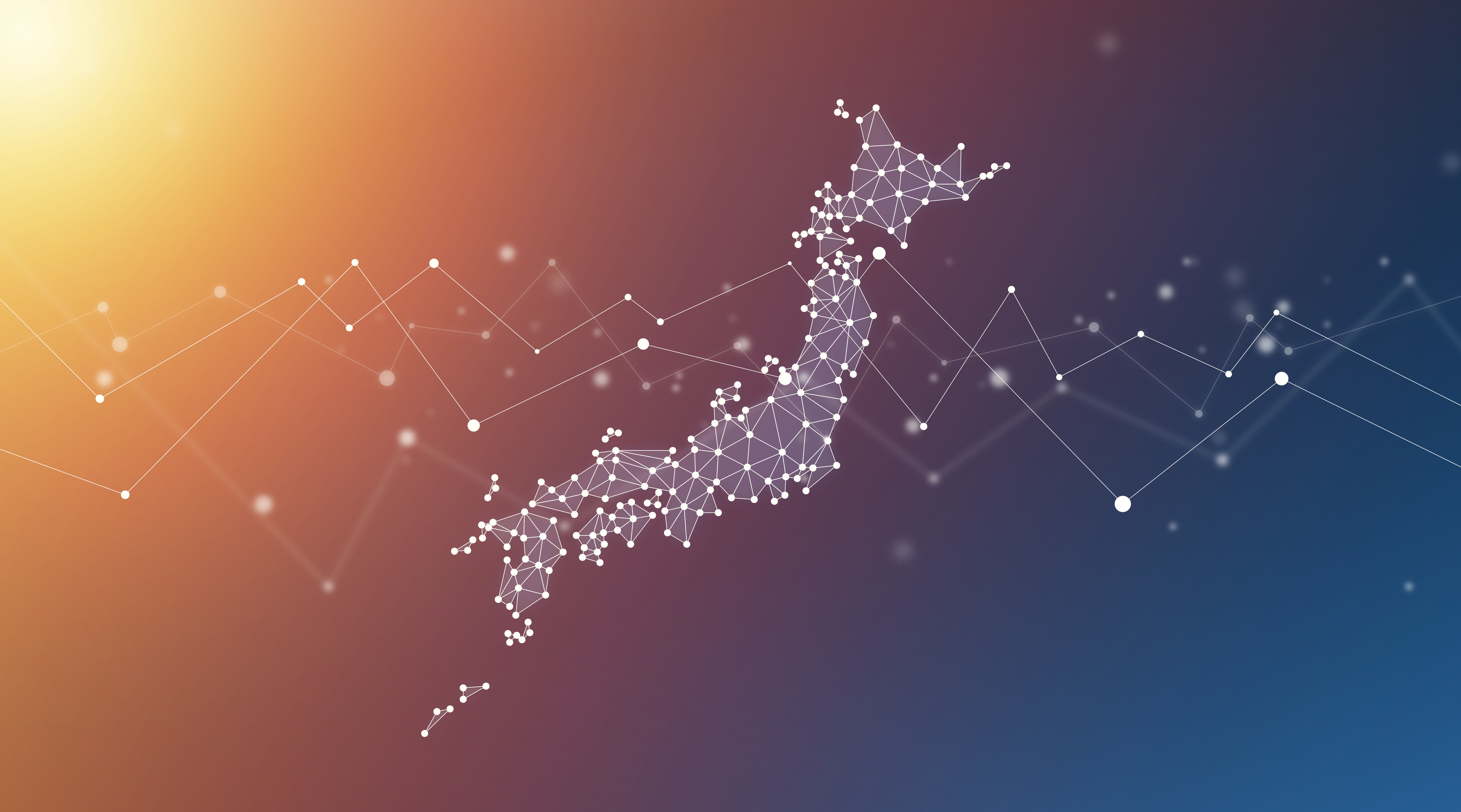 japan distribution network