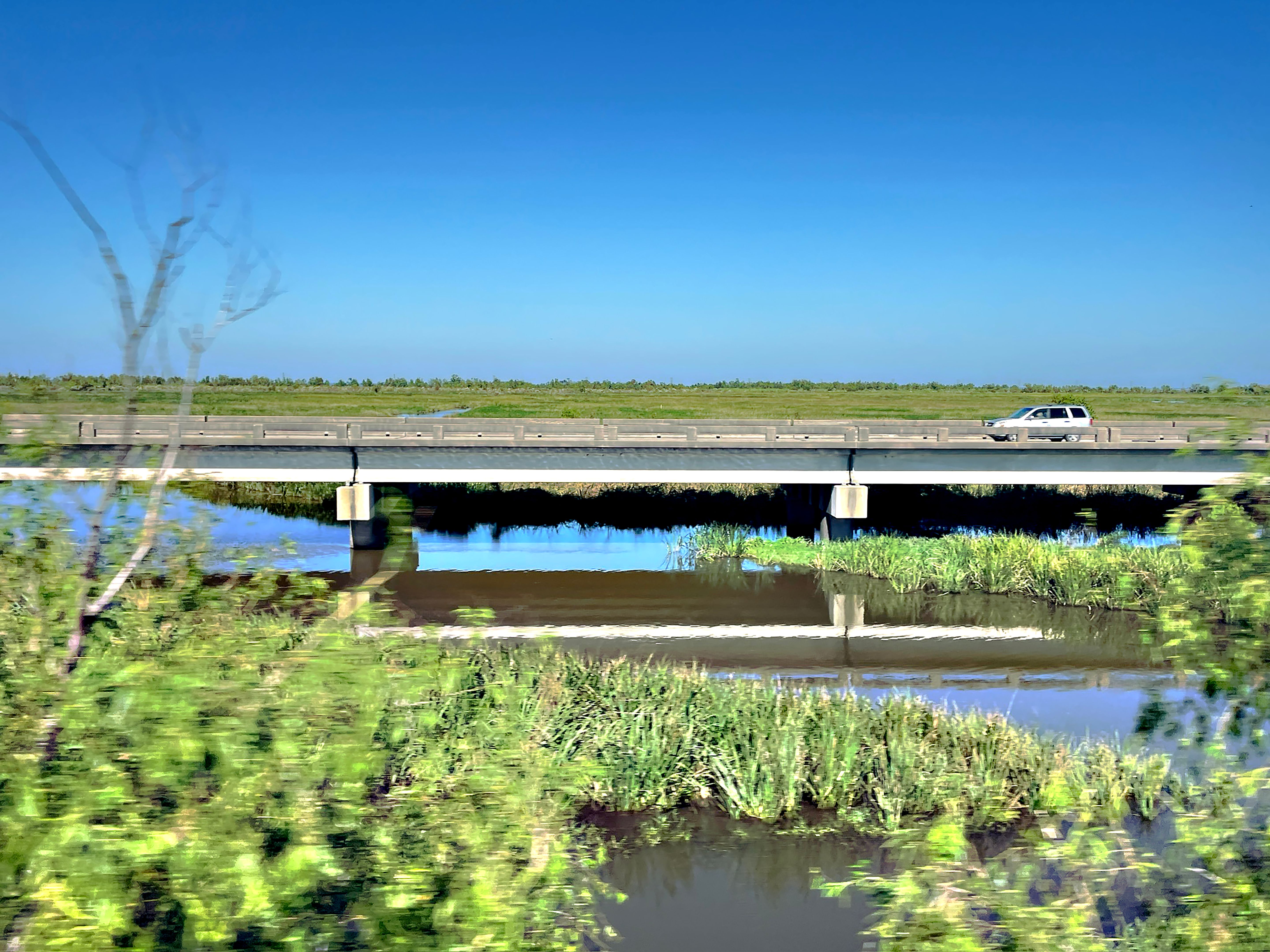 Louisiana weather car