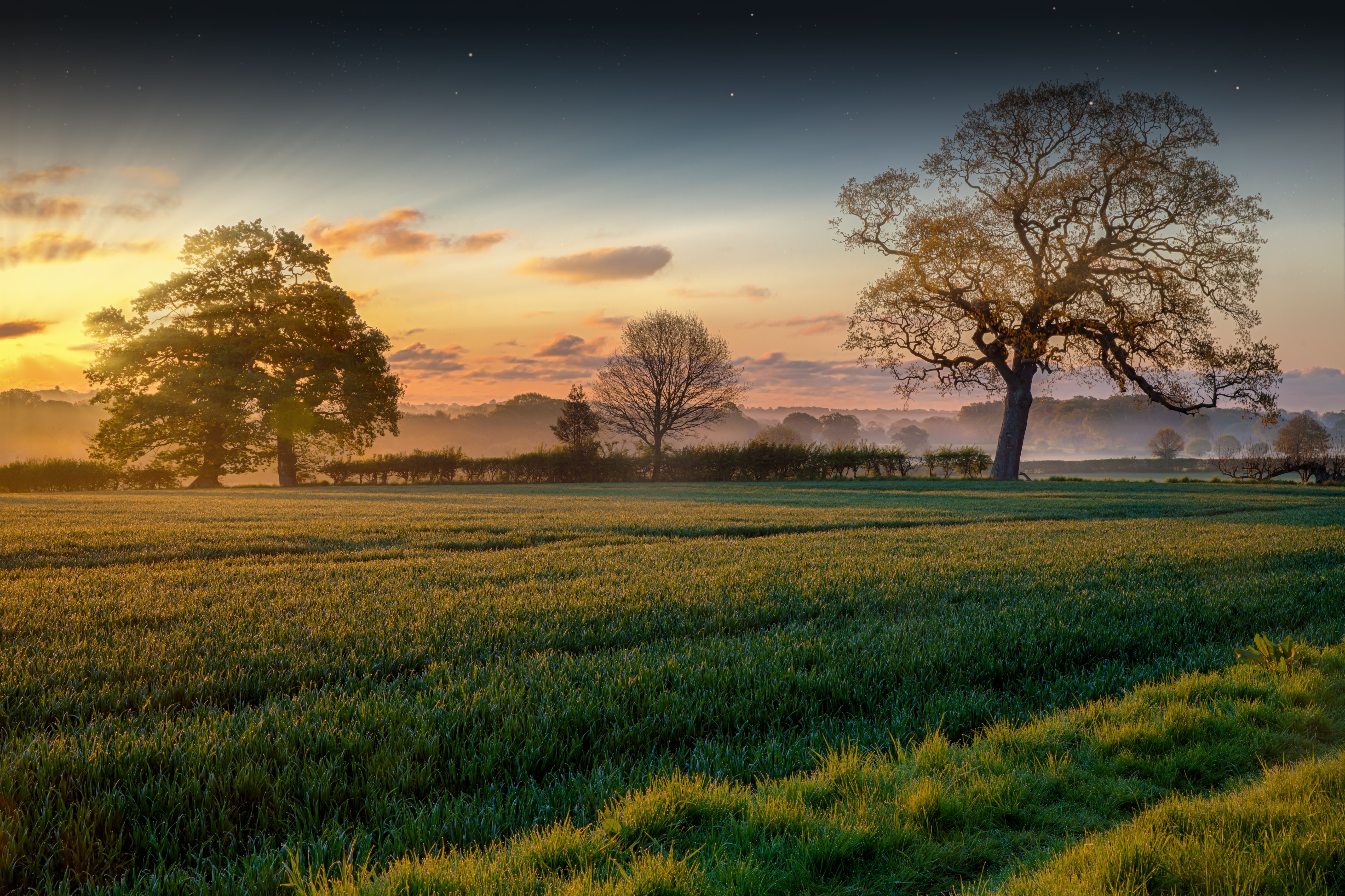 norfolk countryside