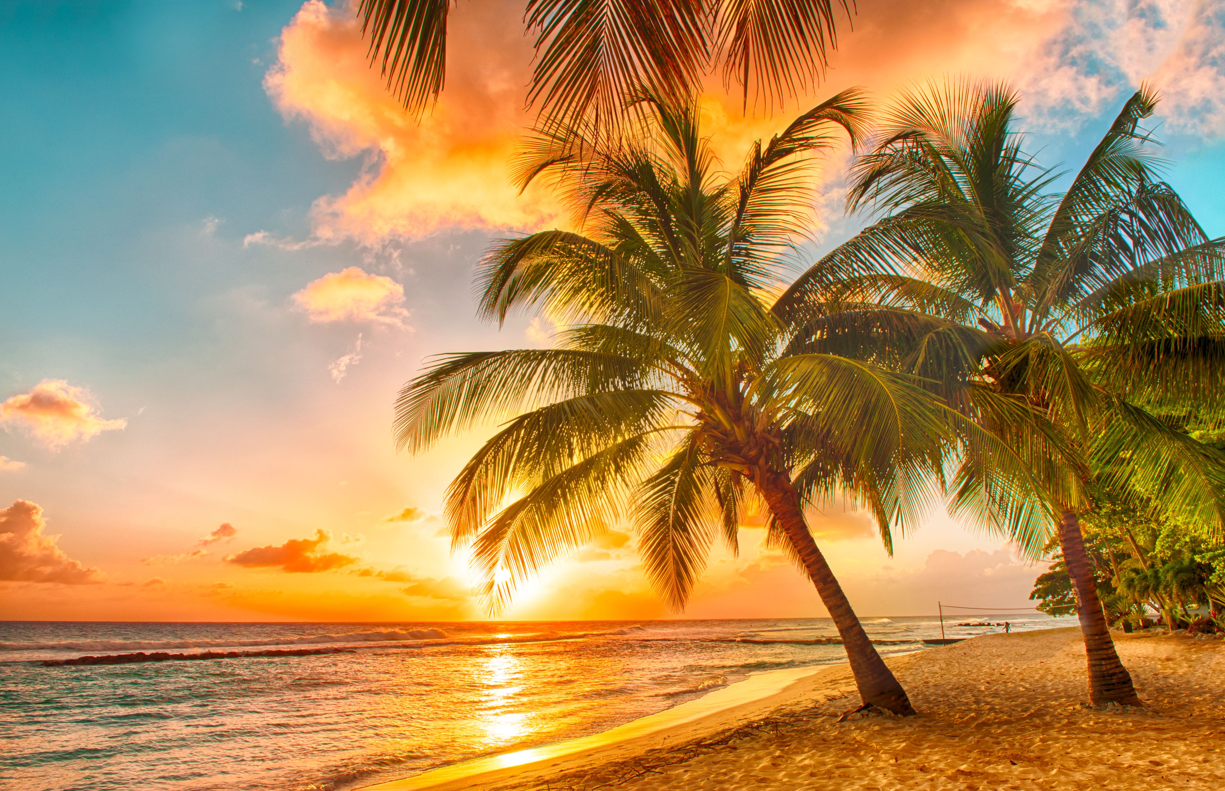 tropical sunset