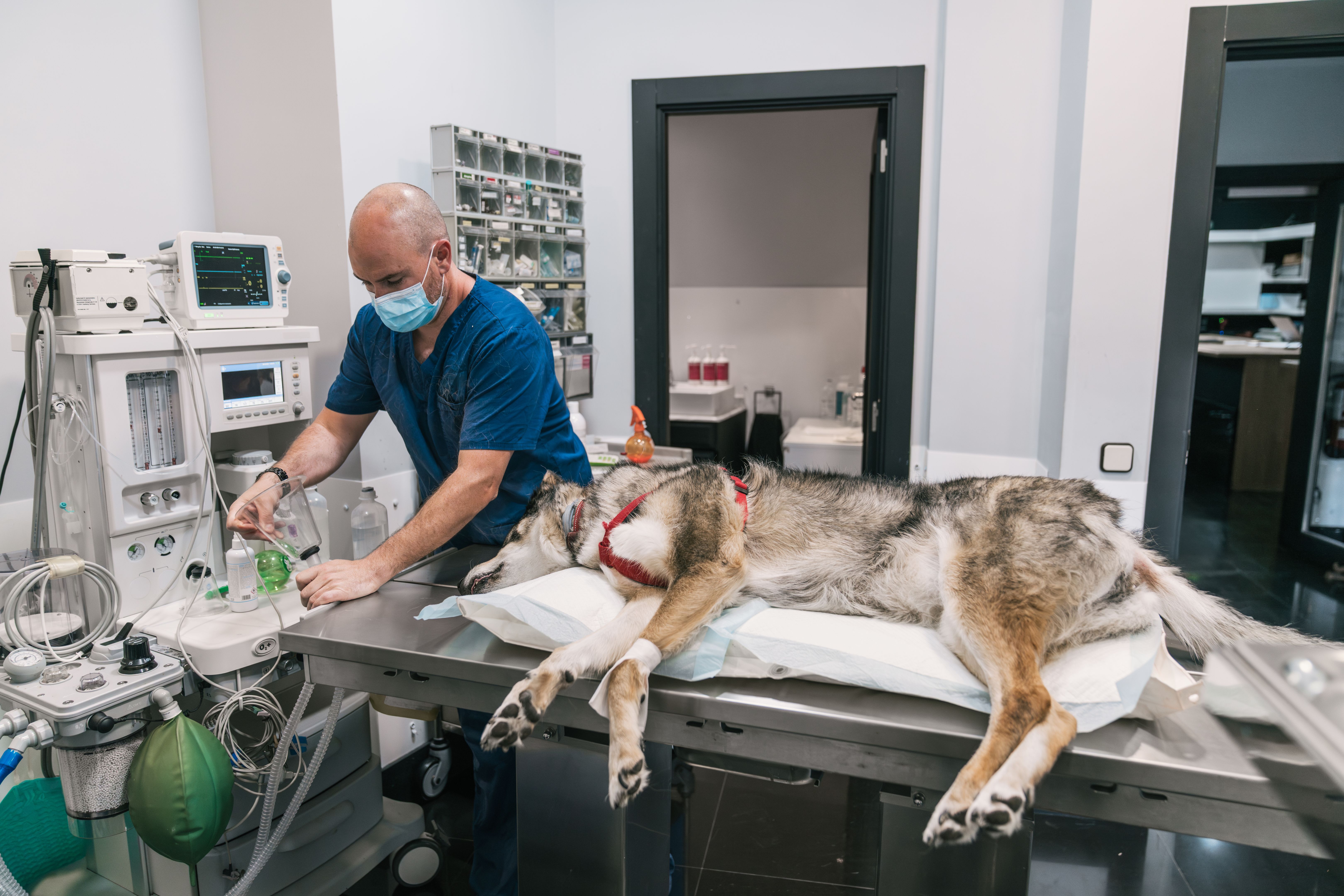 vet clinic