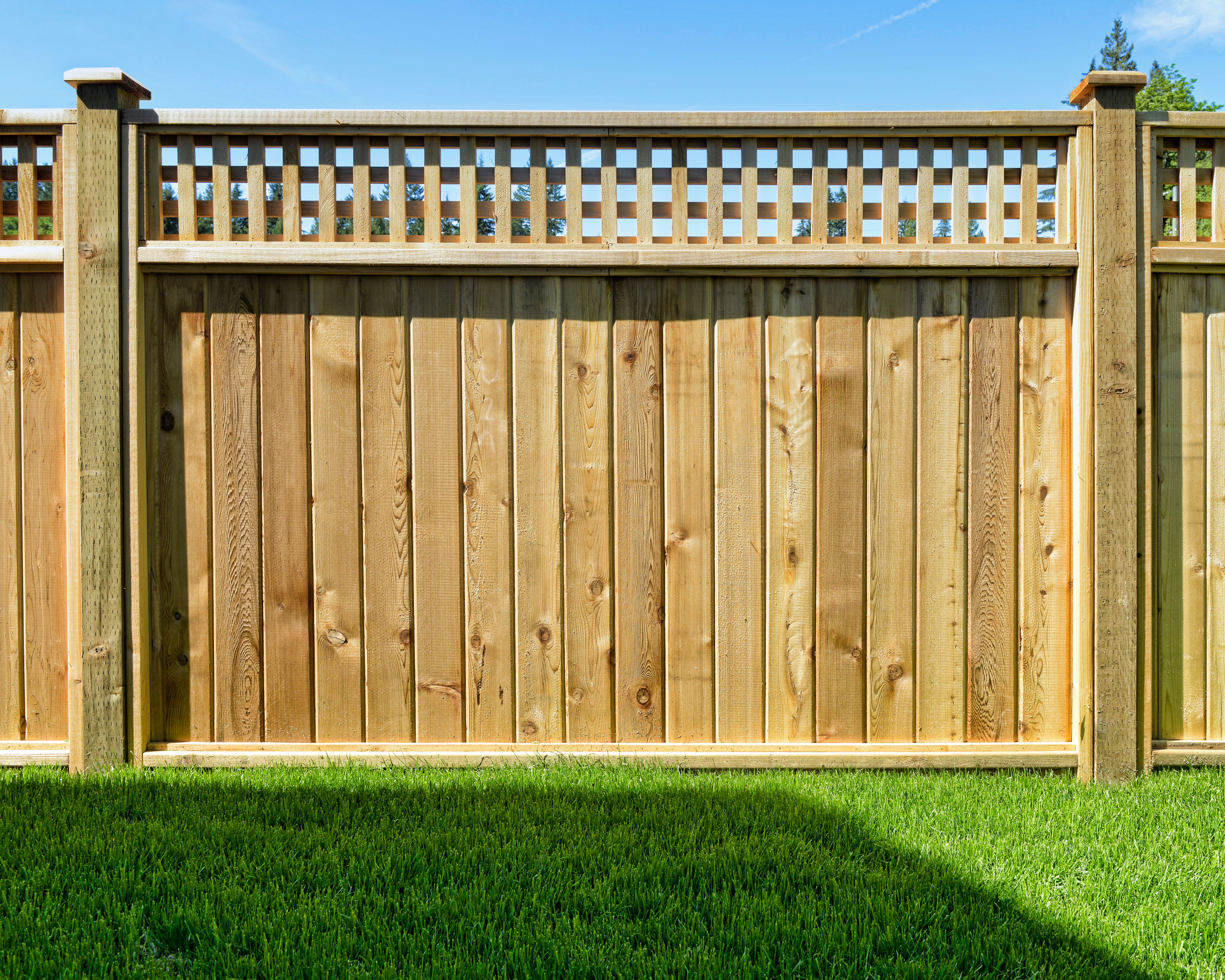 privacy fence