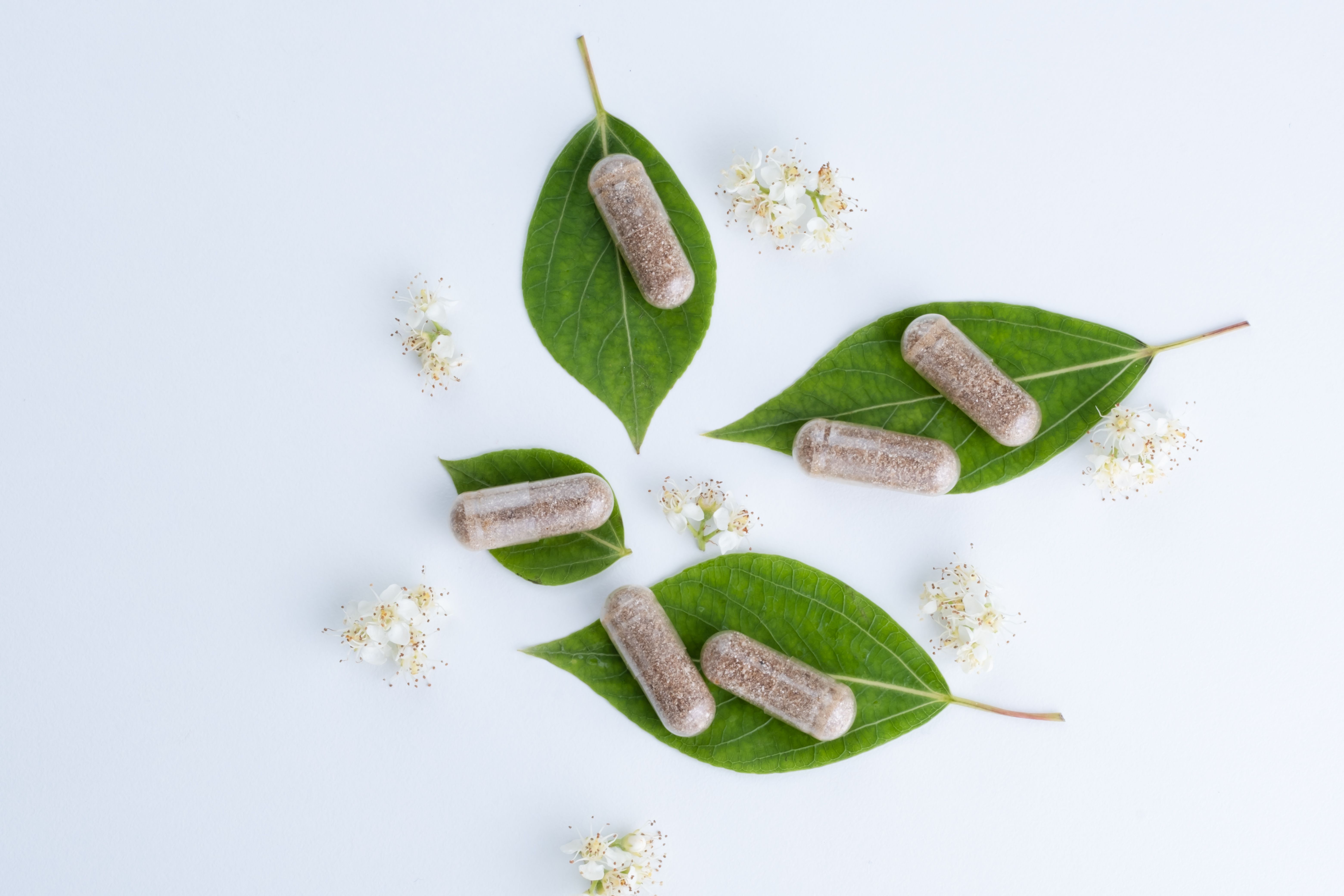 herbal supplements