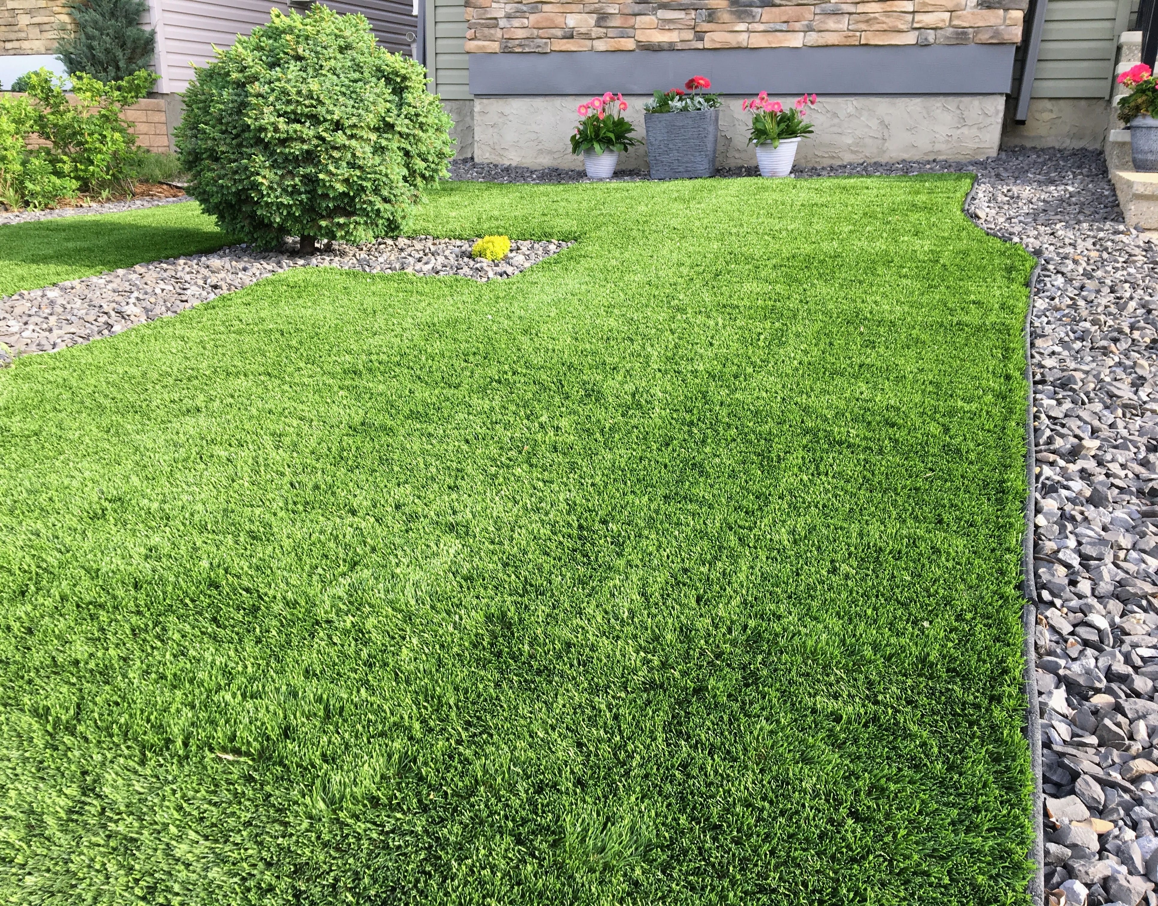 healthy green lawn