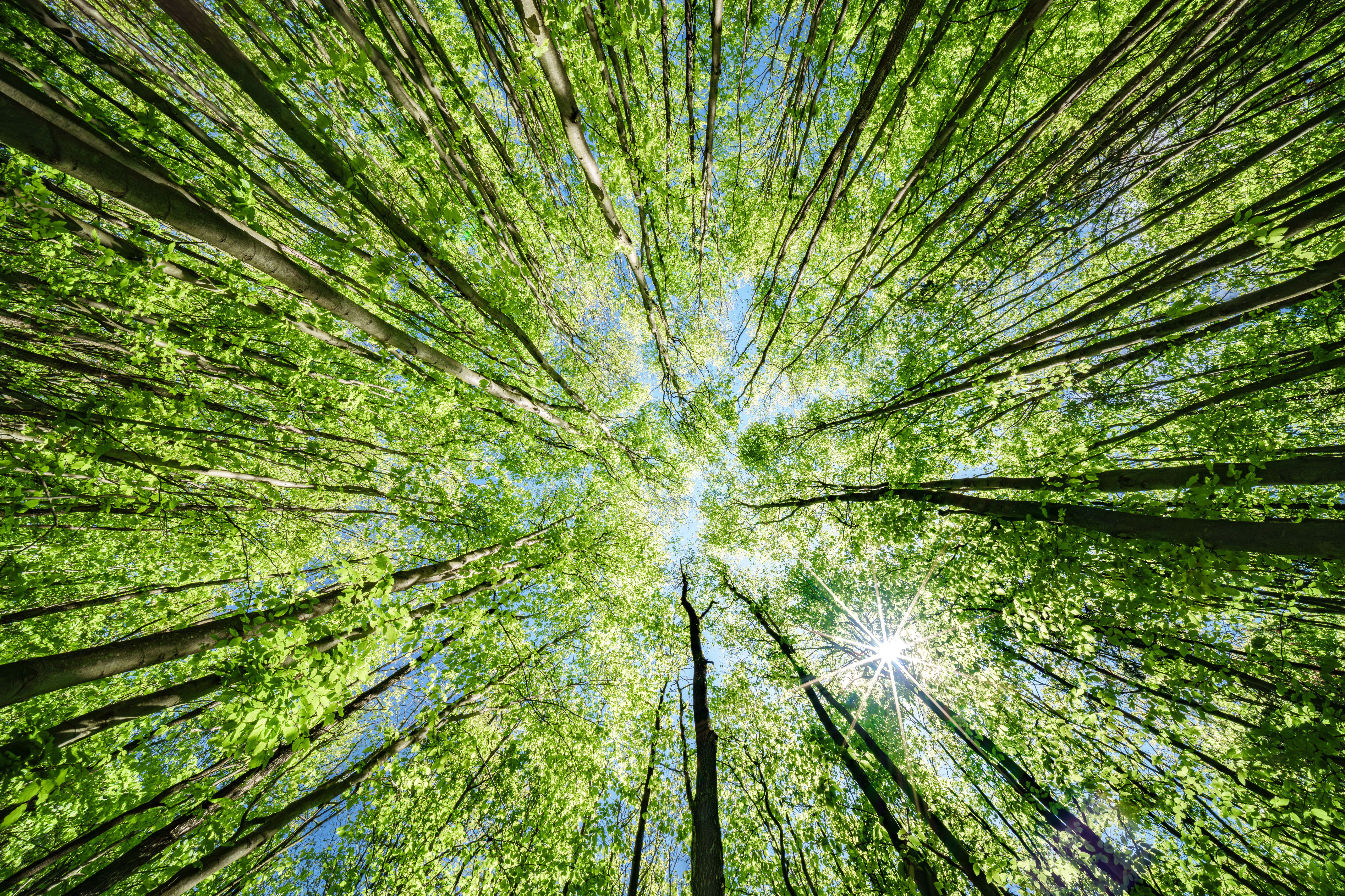 nature relaxation nature relaxation