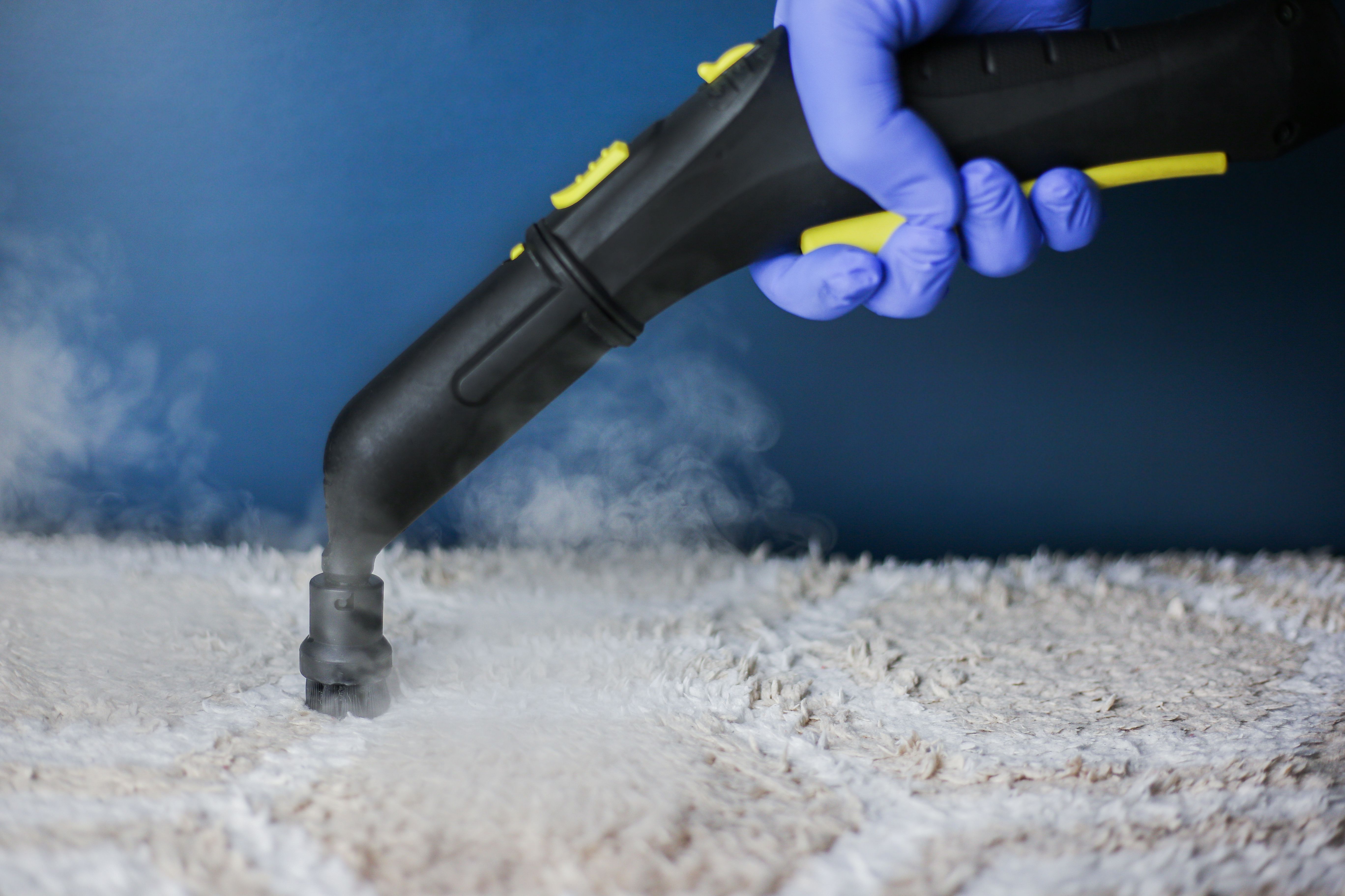steam cleaning carpets