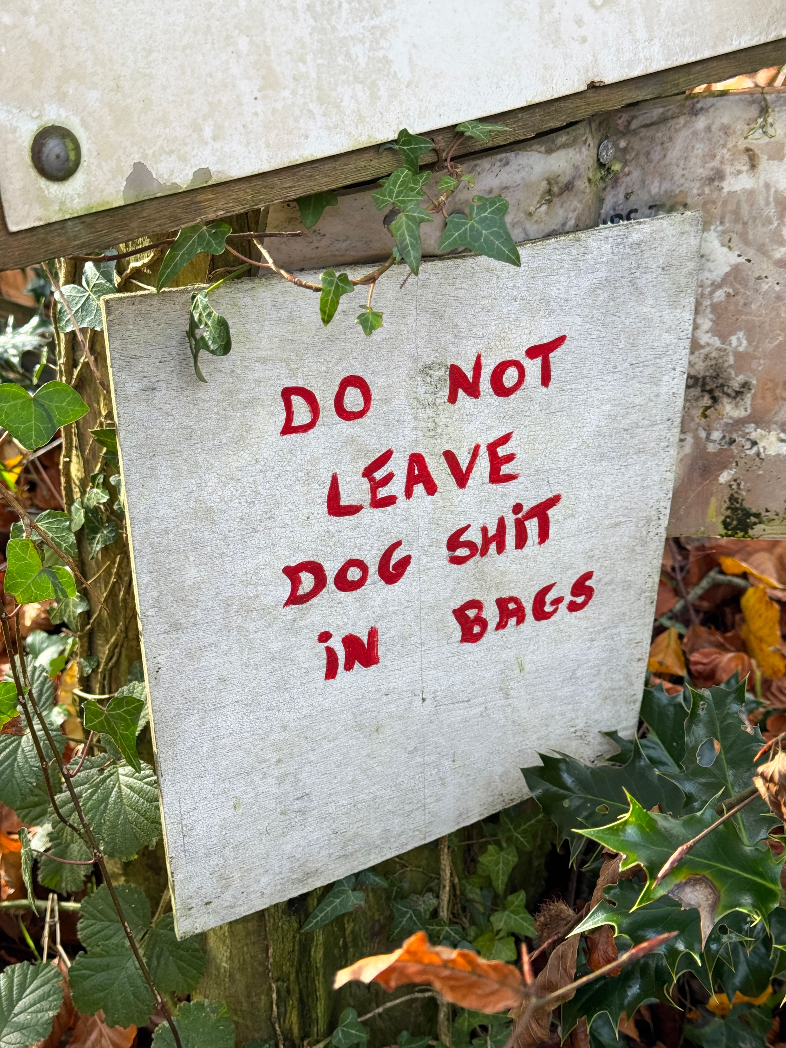 pet care instructions