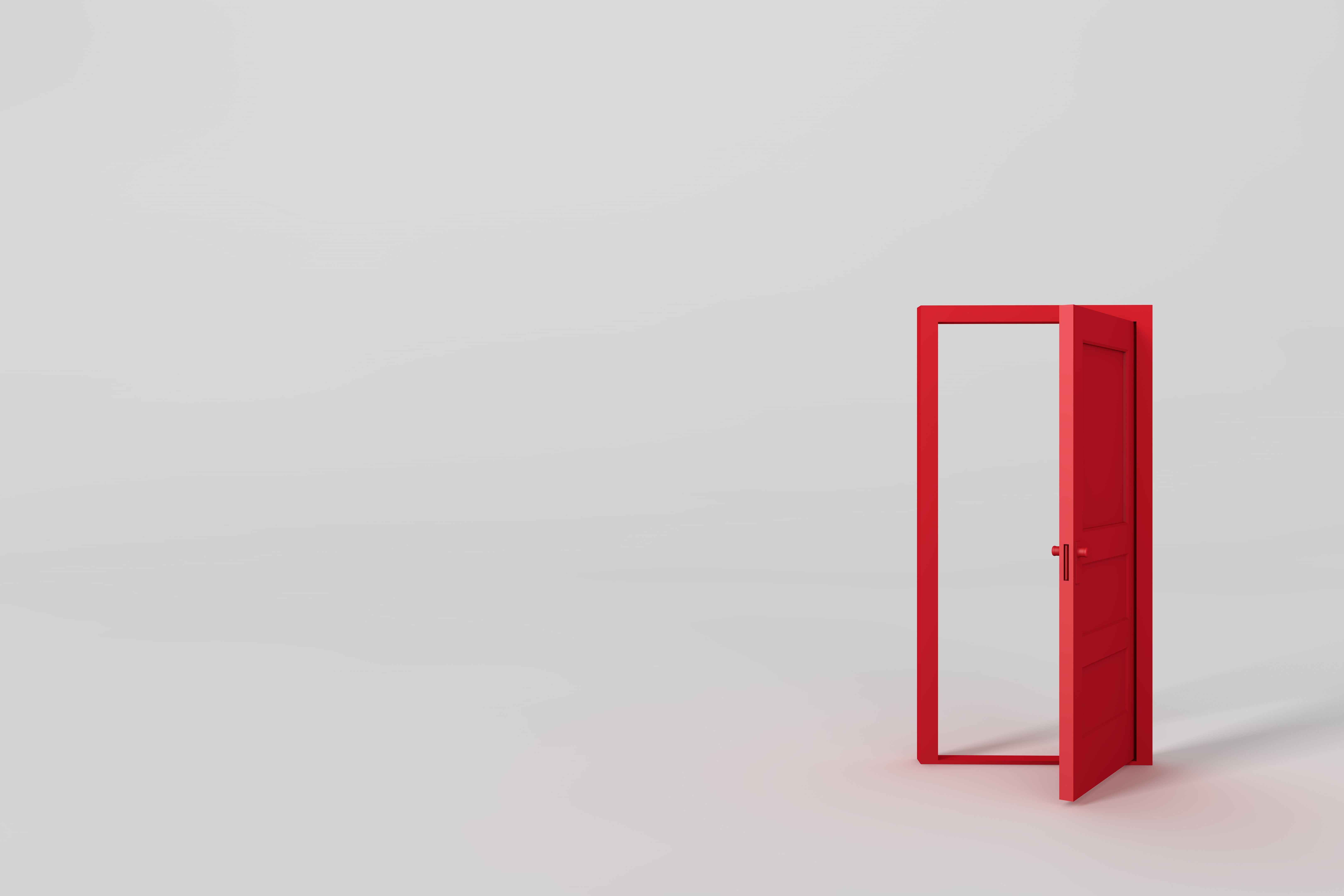 minimalist door