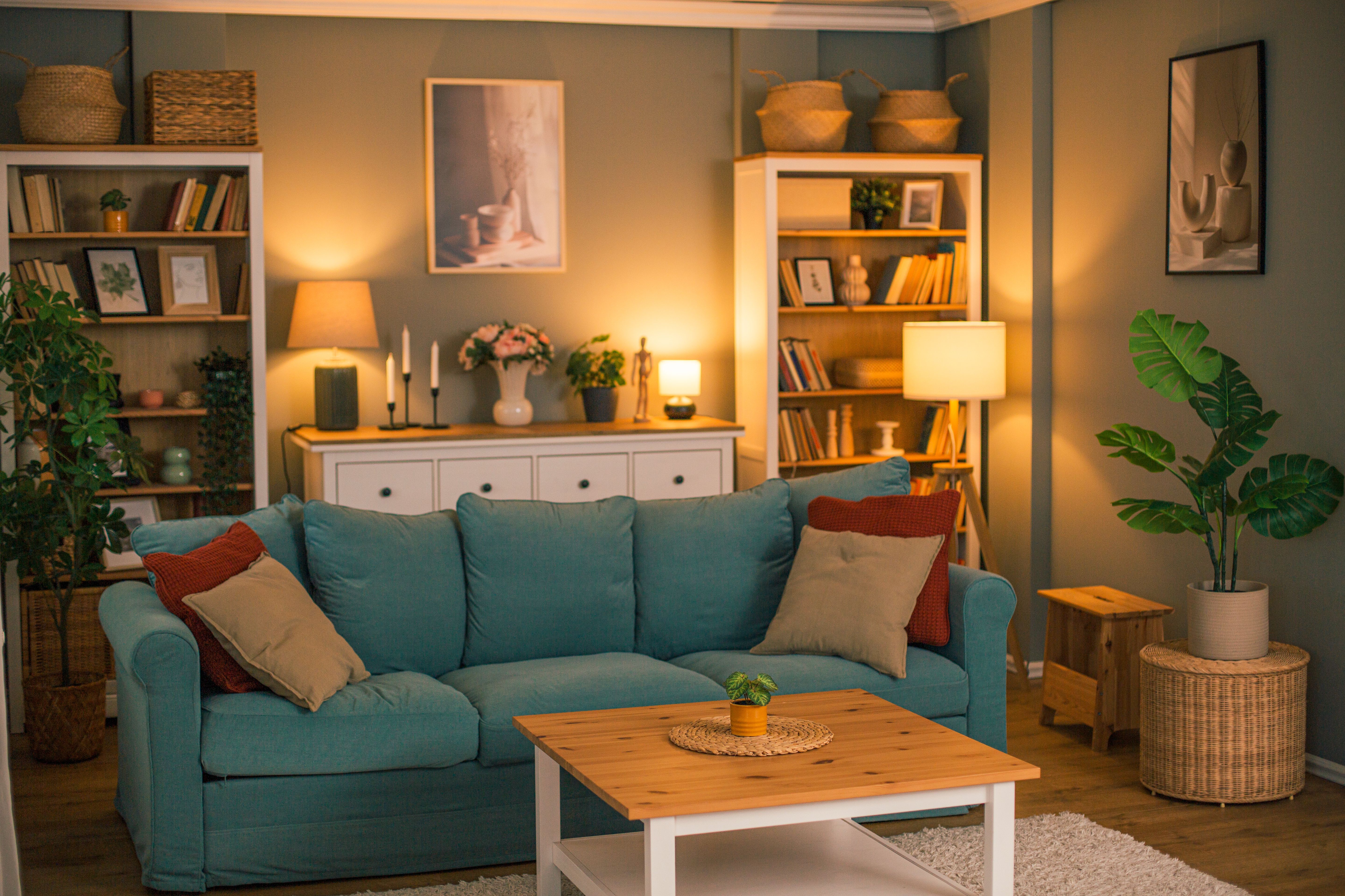 cozy living room