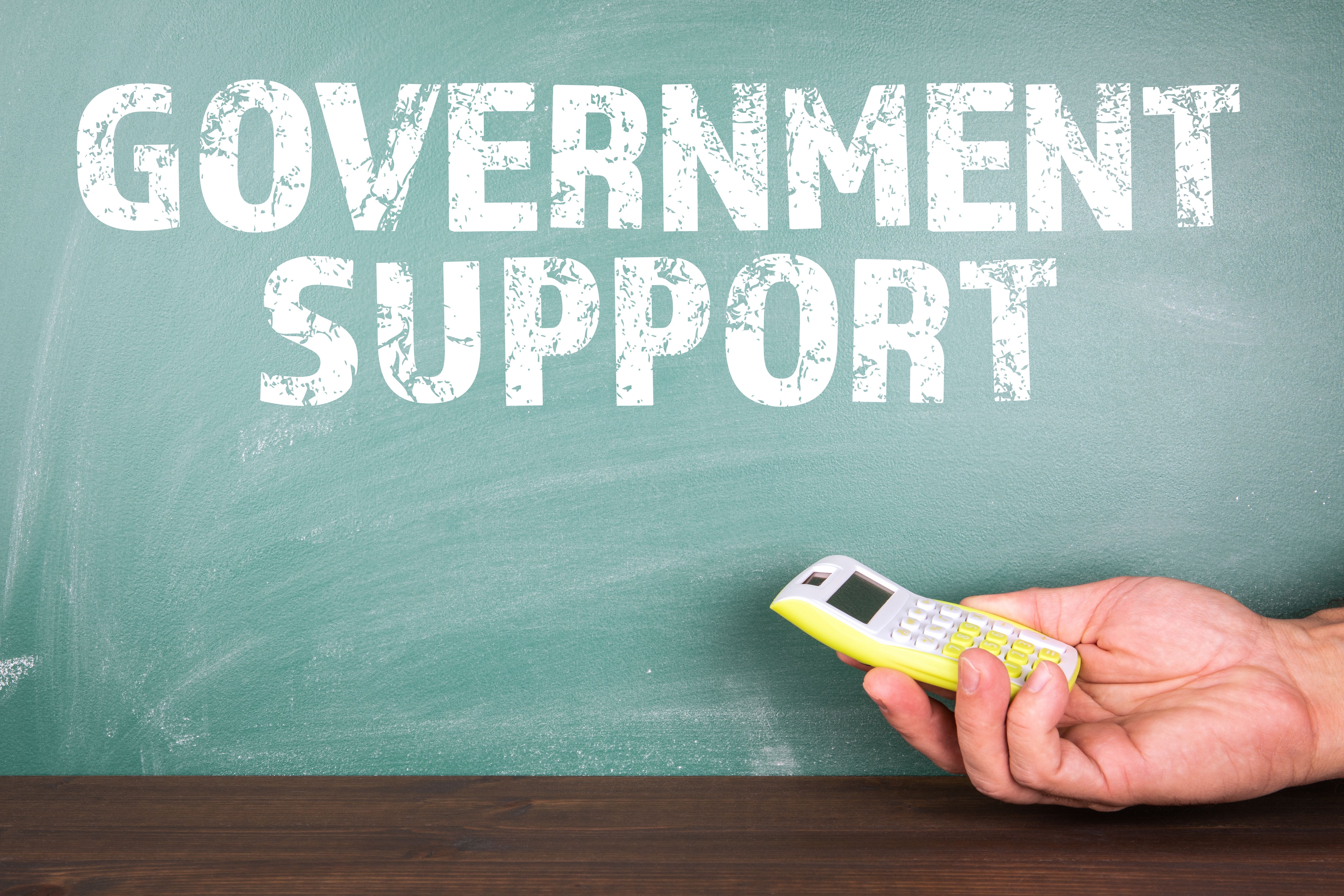 government support startups