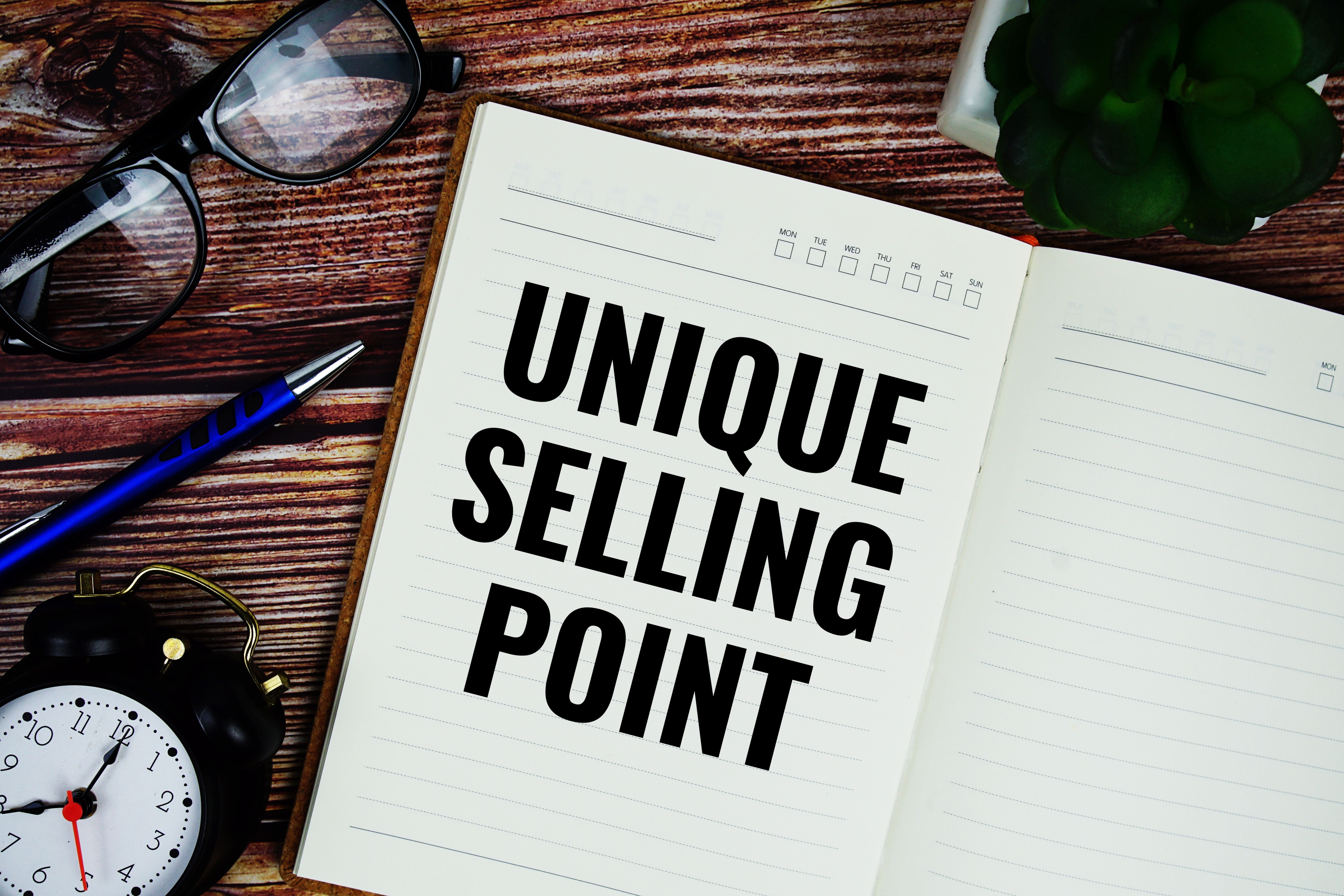 unique selling point