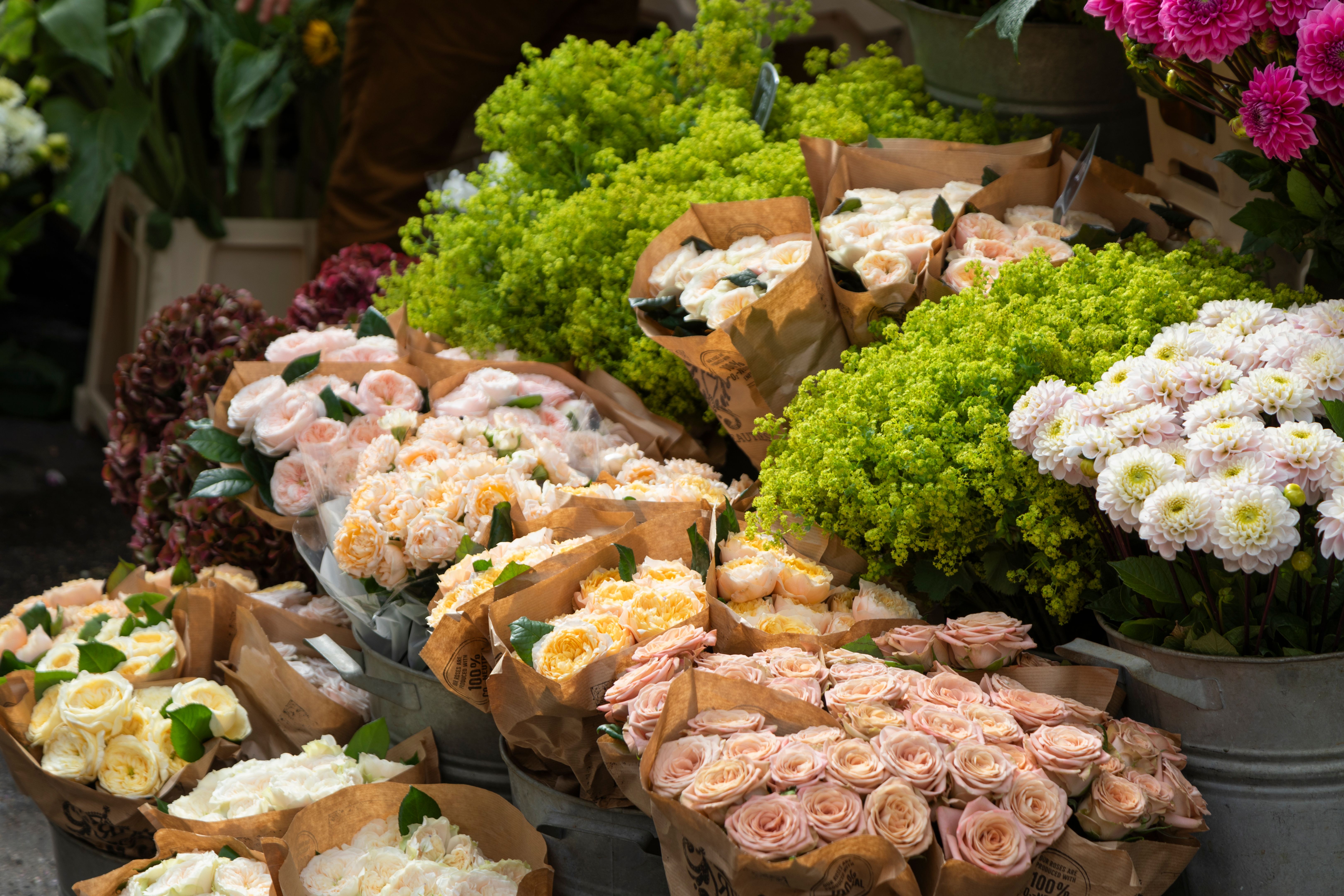 flower shop