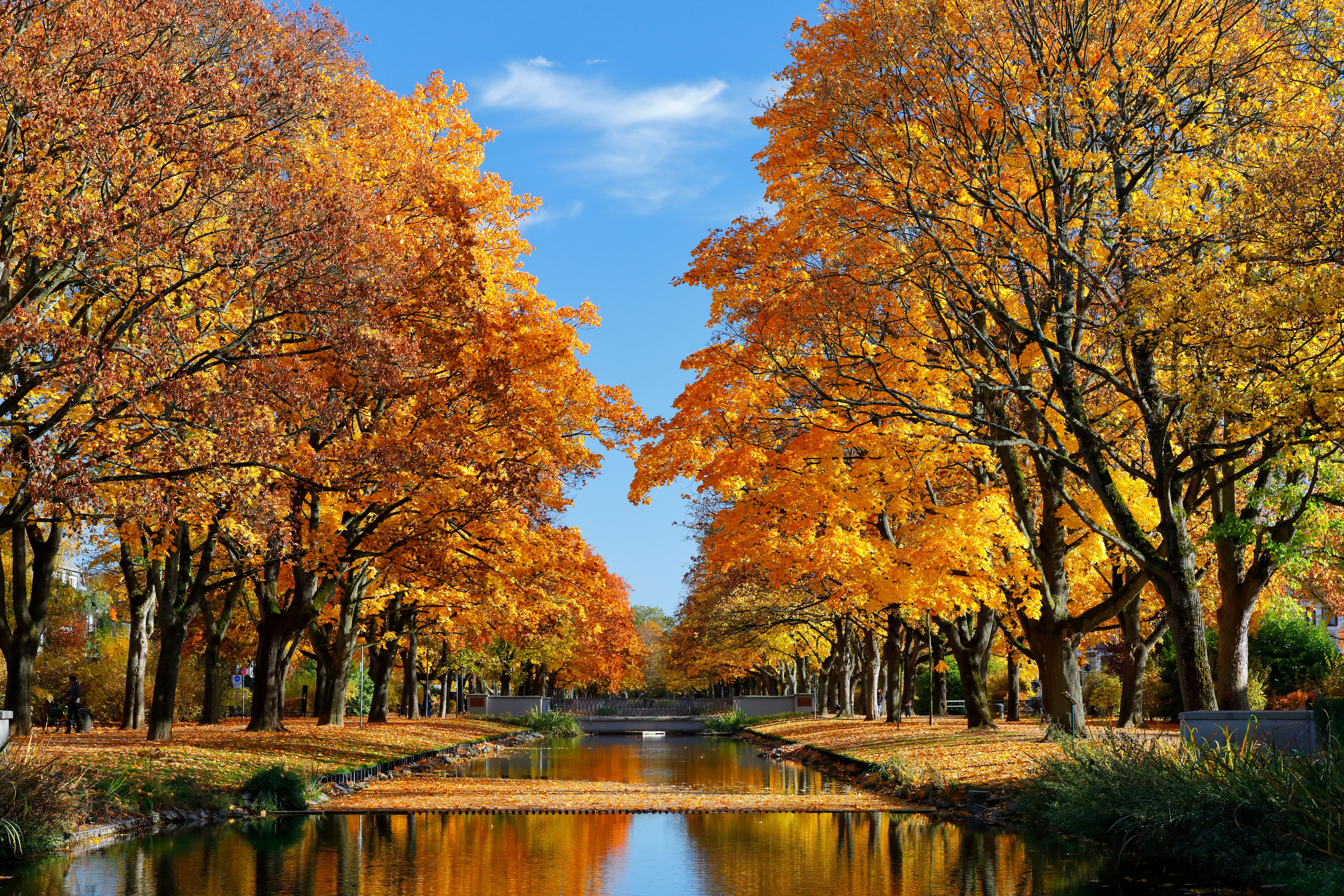 lindenthal park