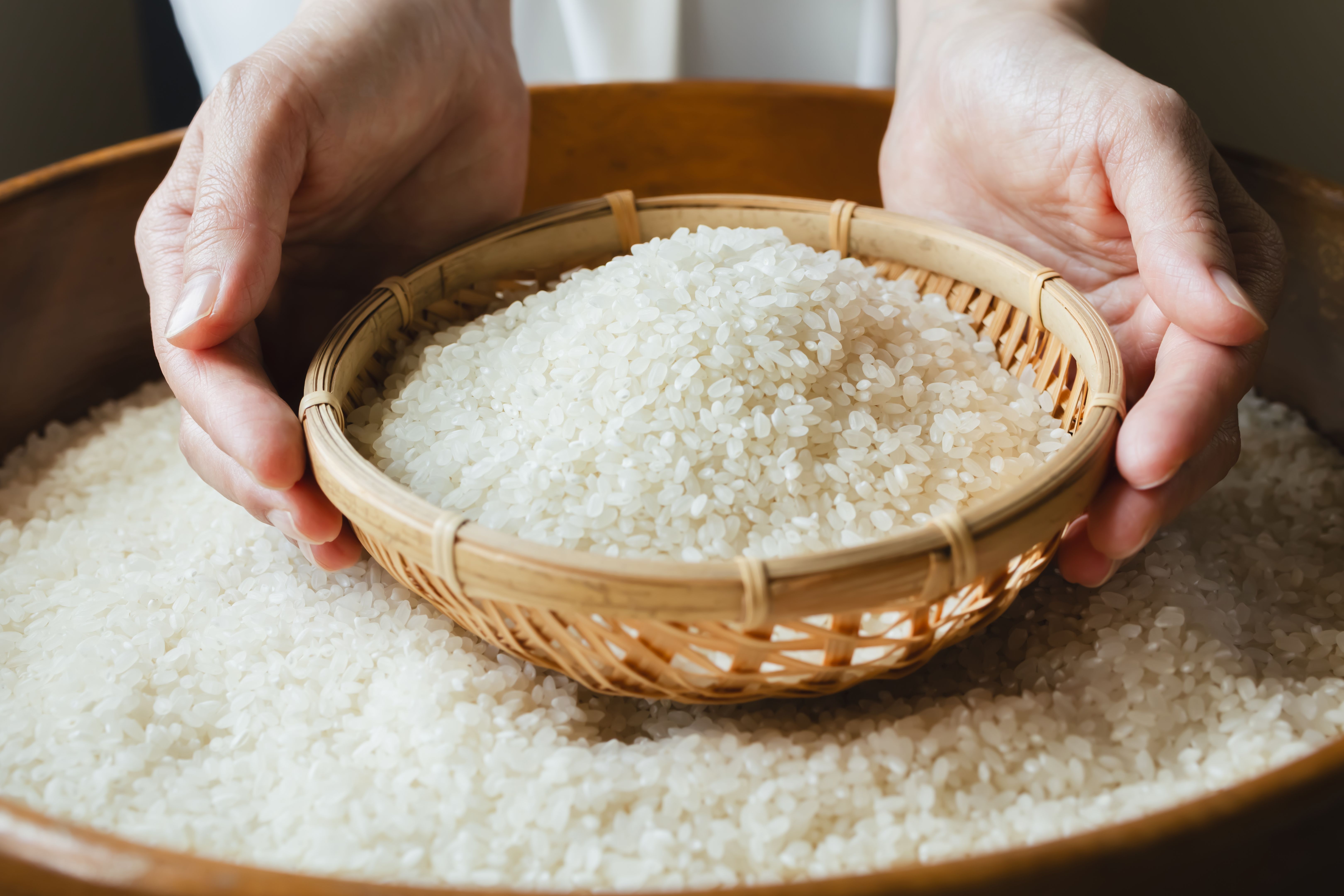 traditional japanese cuisine