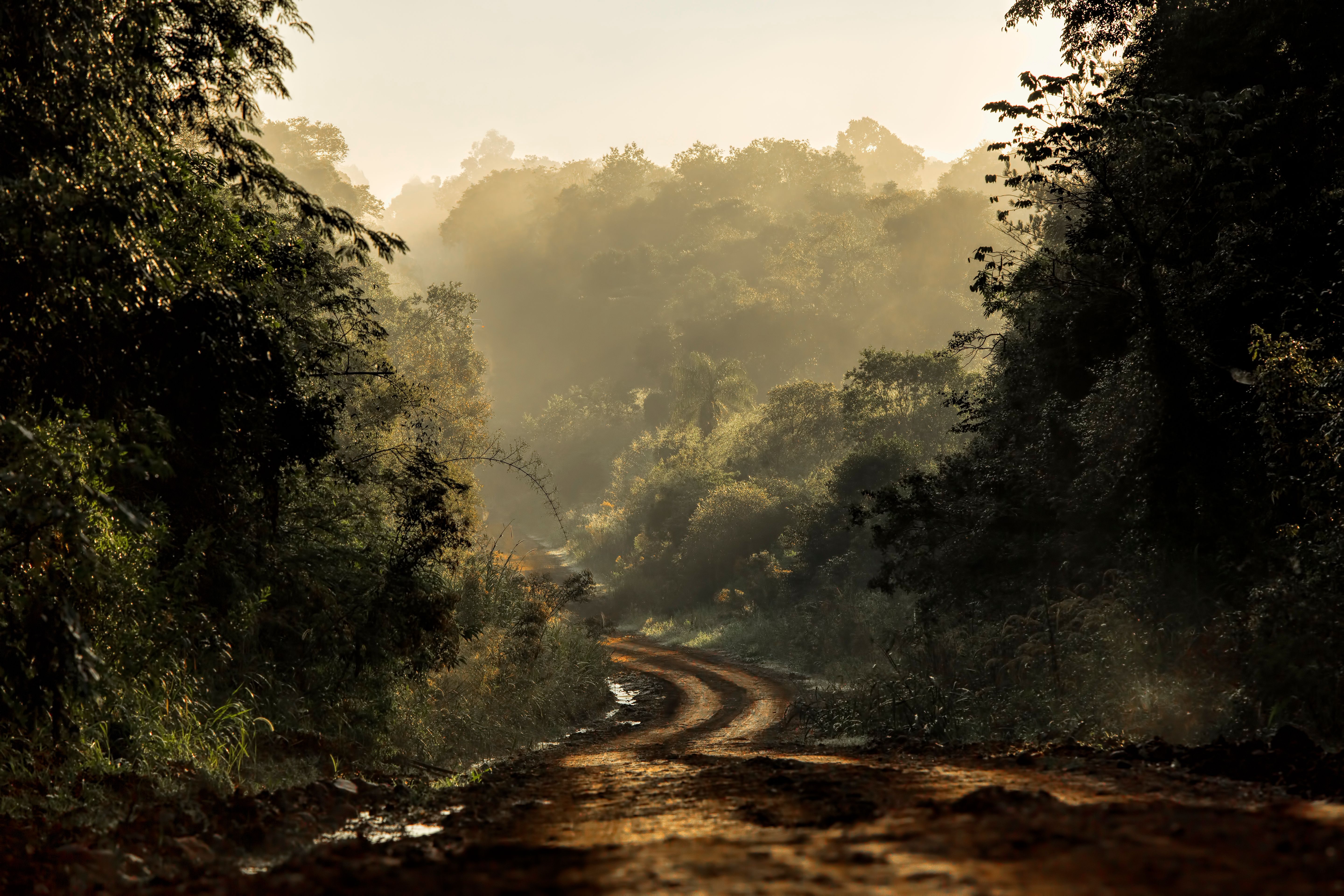 off road driving