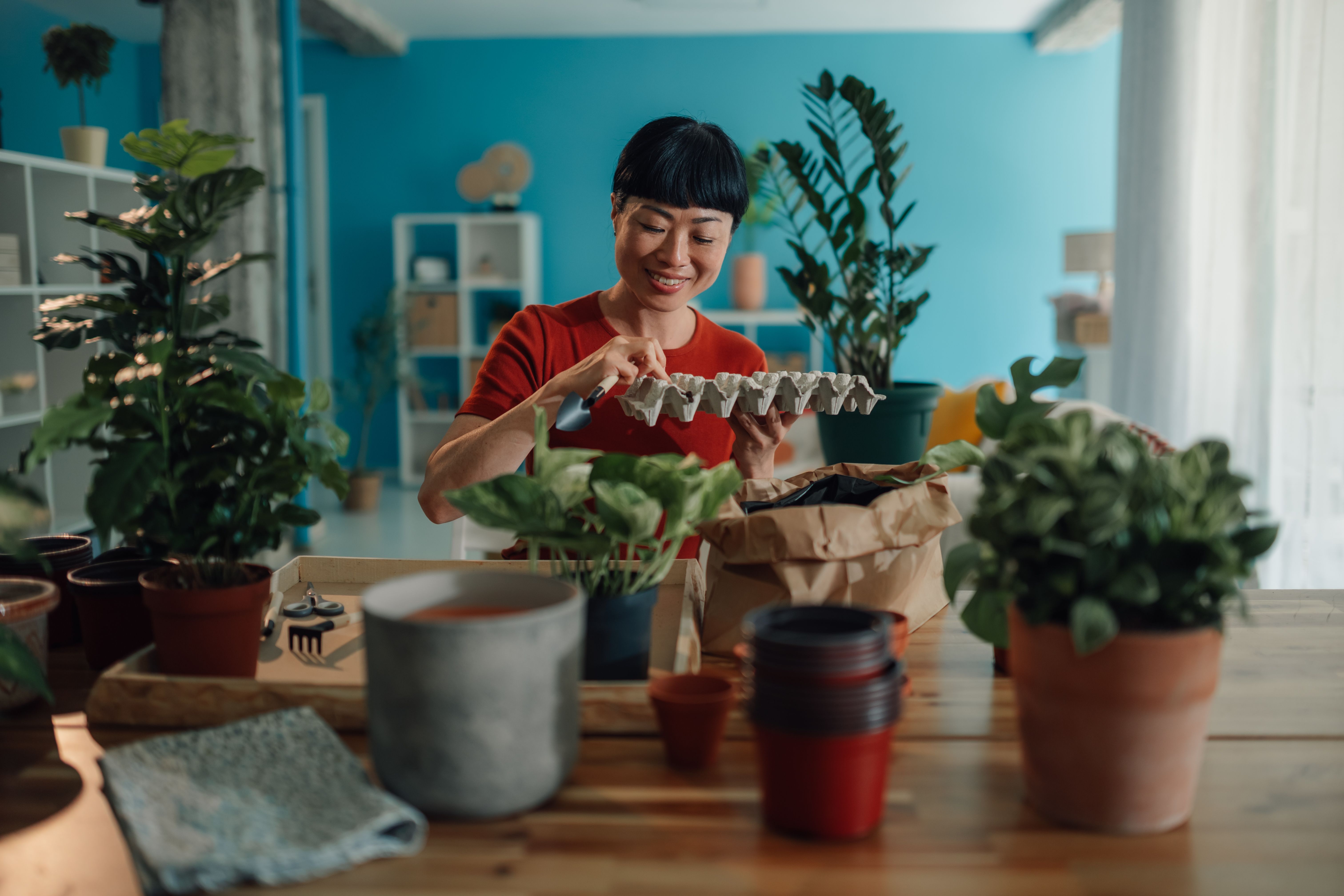 Woman repurposing egg carton for seed starting indoors Woman repurposing egg carton for seed starting indoors