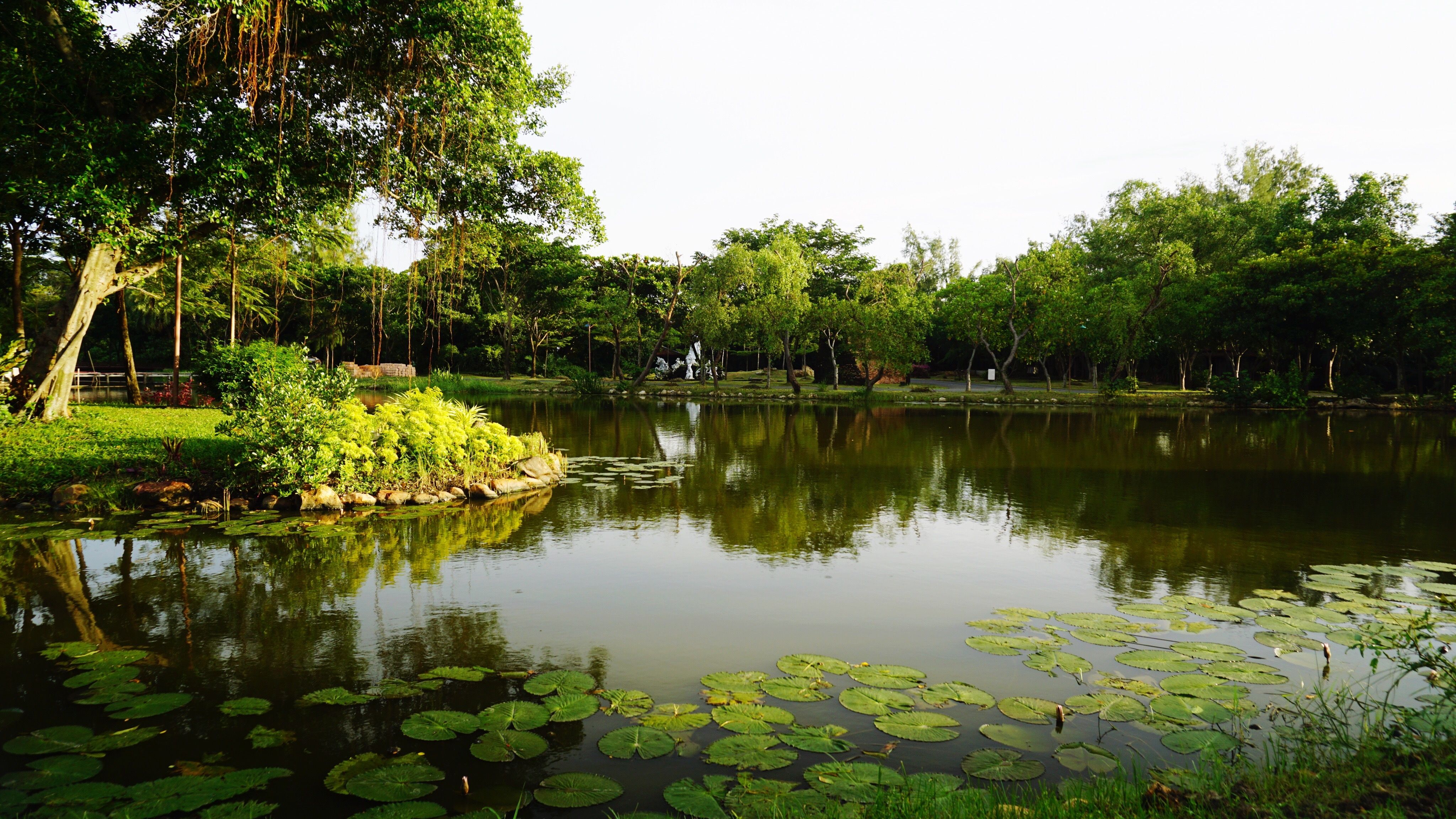 beautiful garden lake