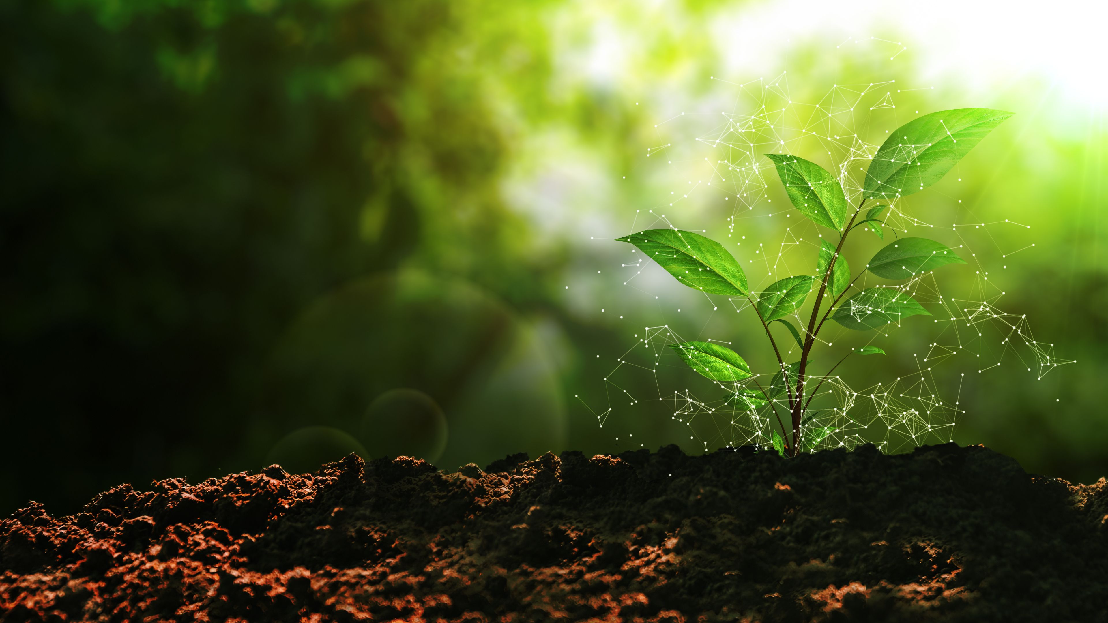 eco friendly development