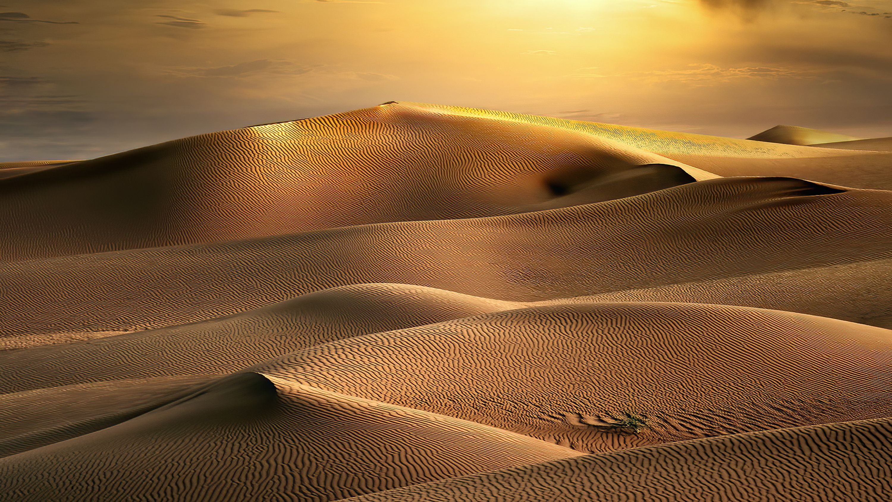 Saudi desert