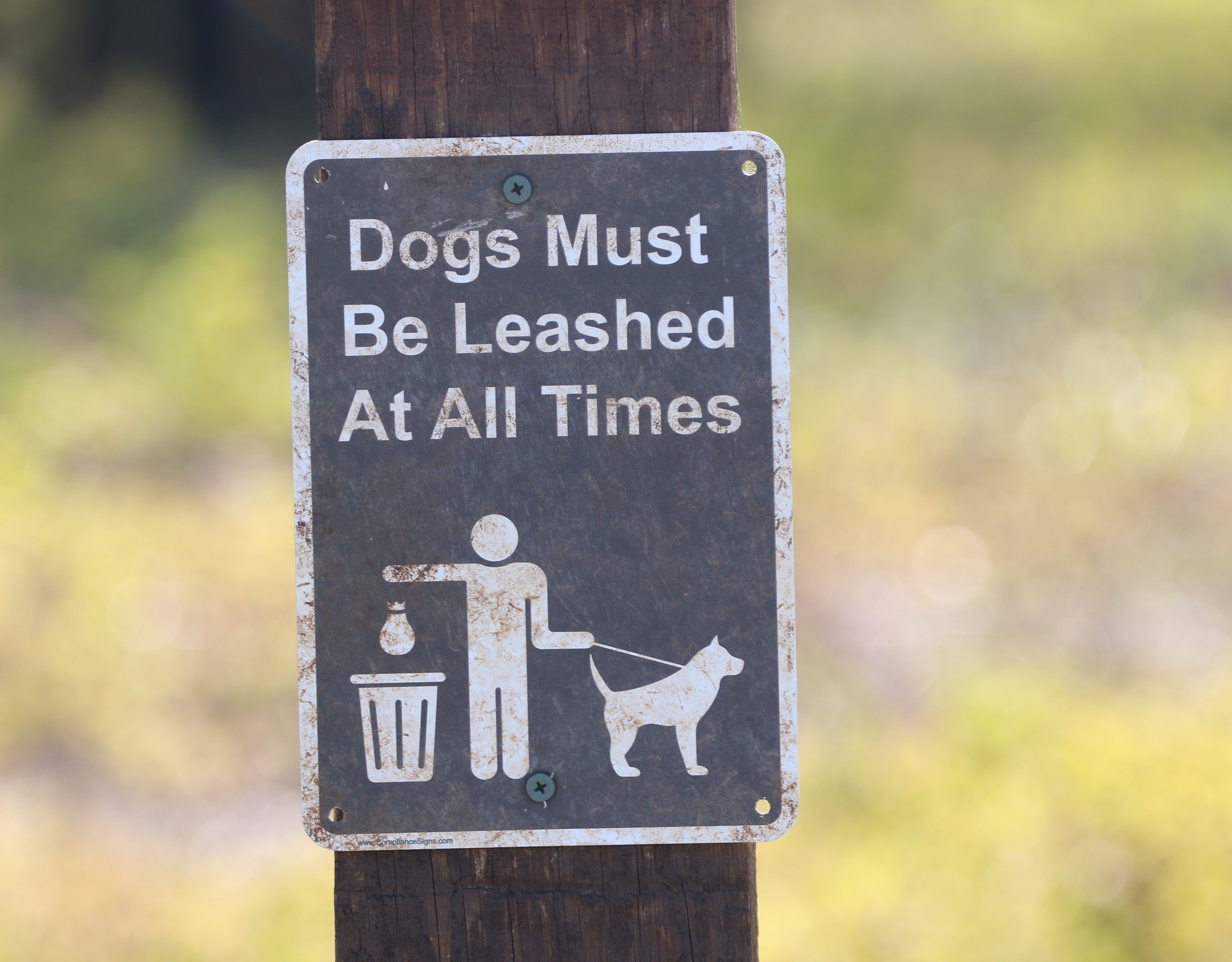 dog friendly sign