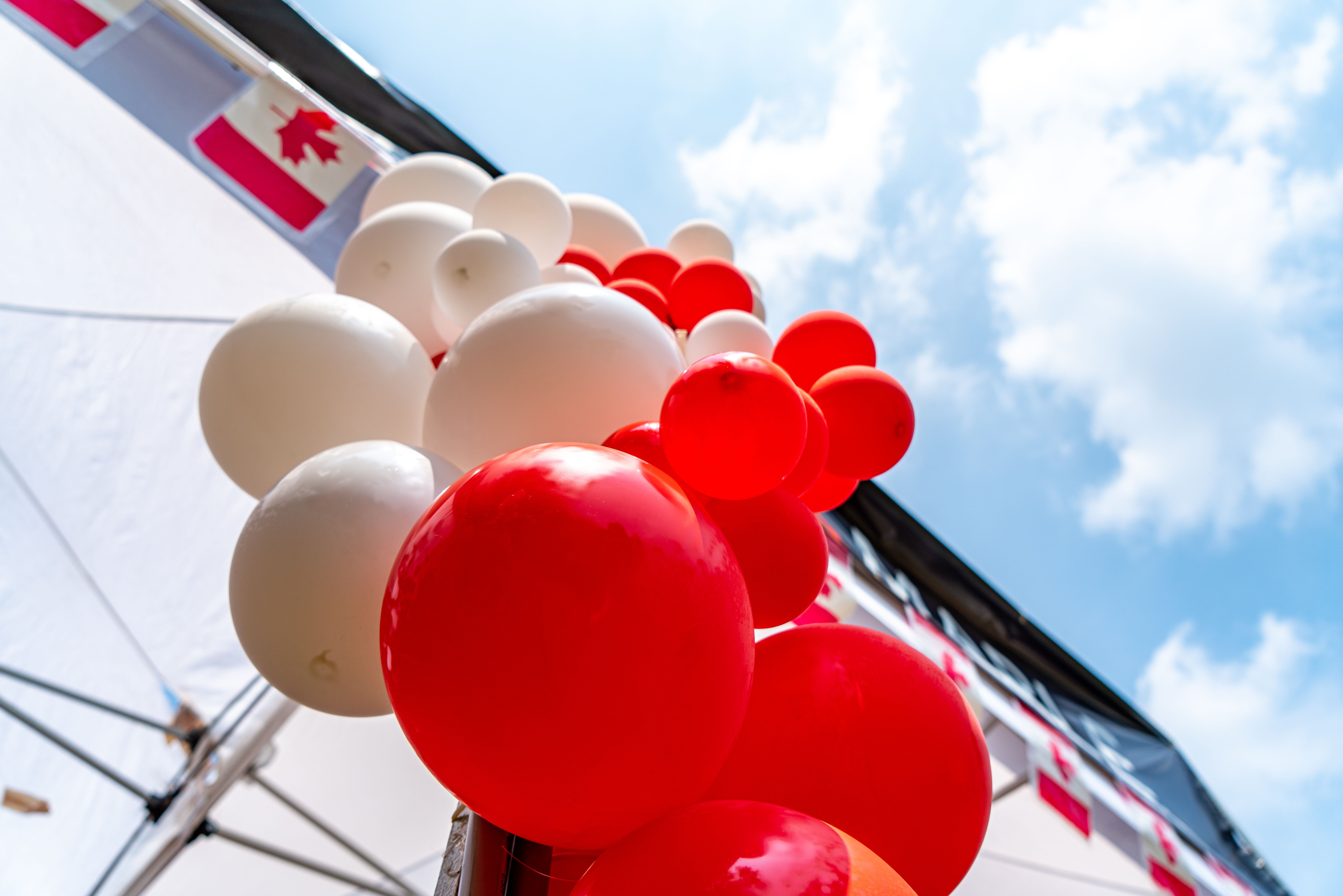 cultural festival Vaughan