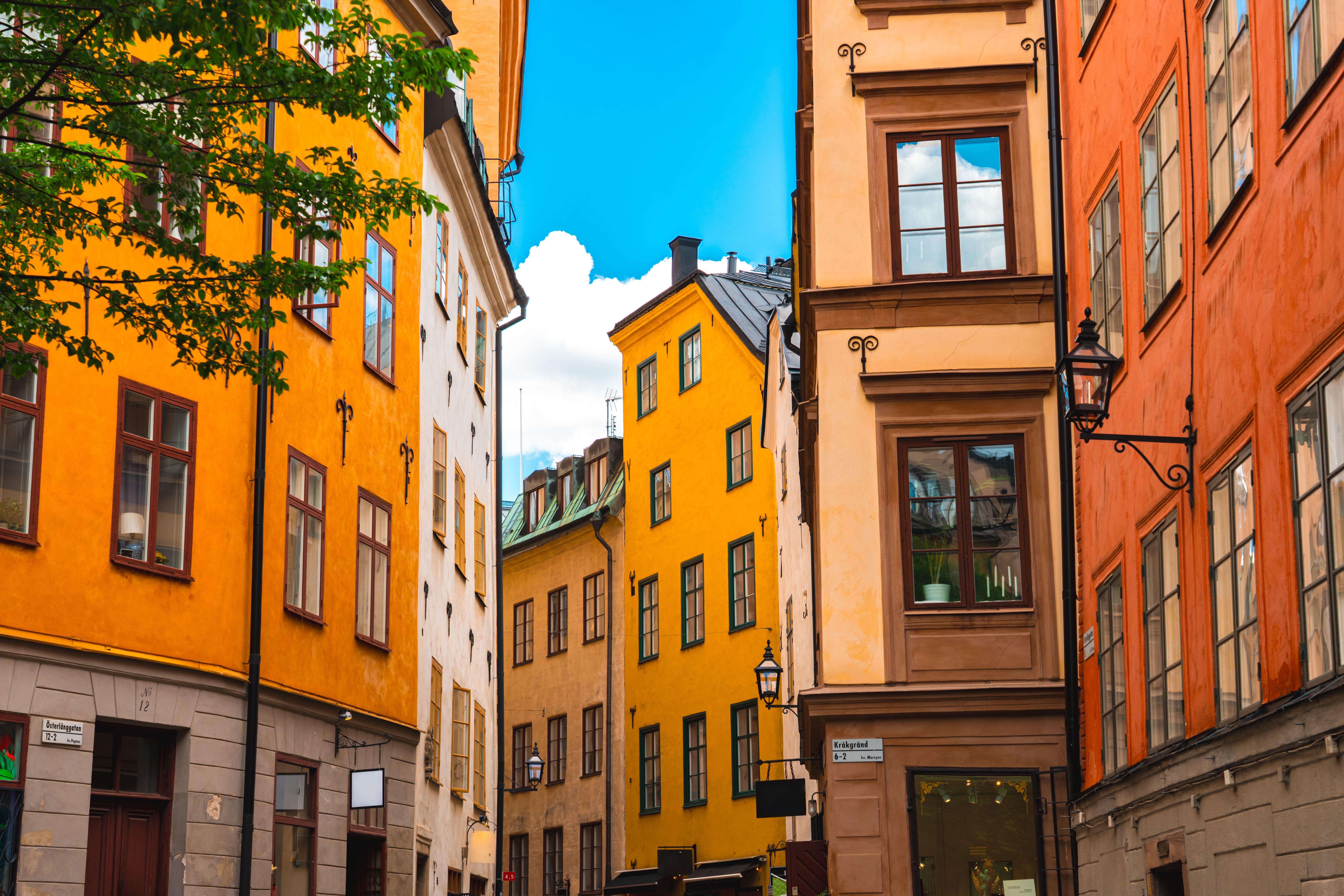 historic building roof