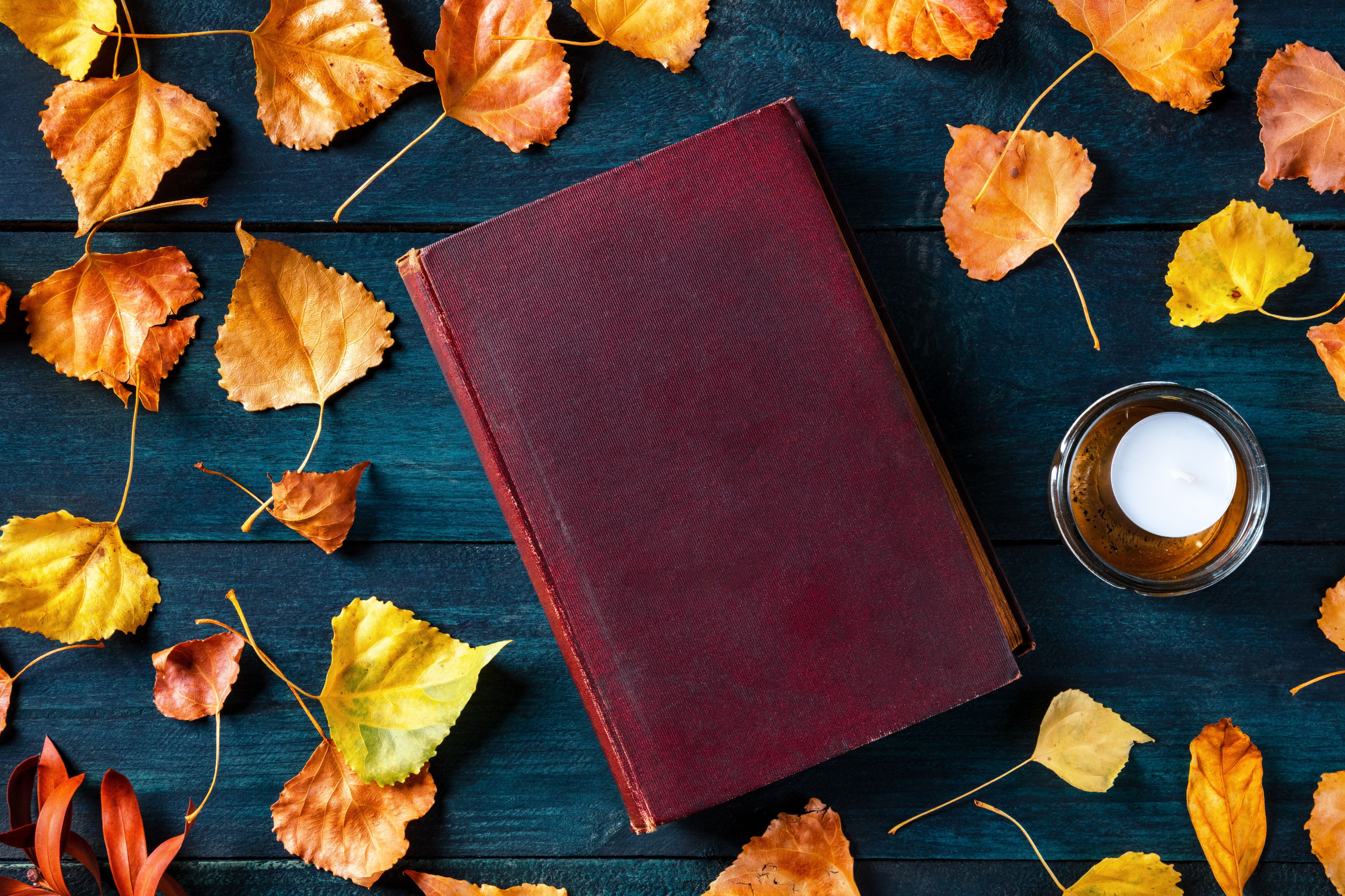 cozy mystery book cover