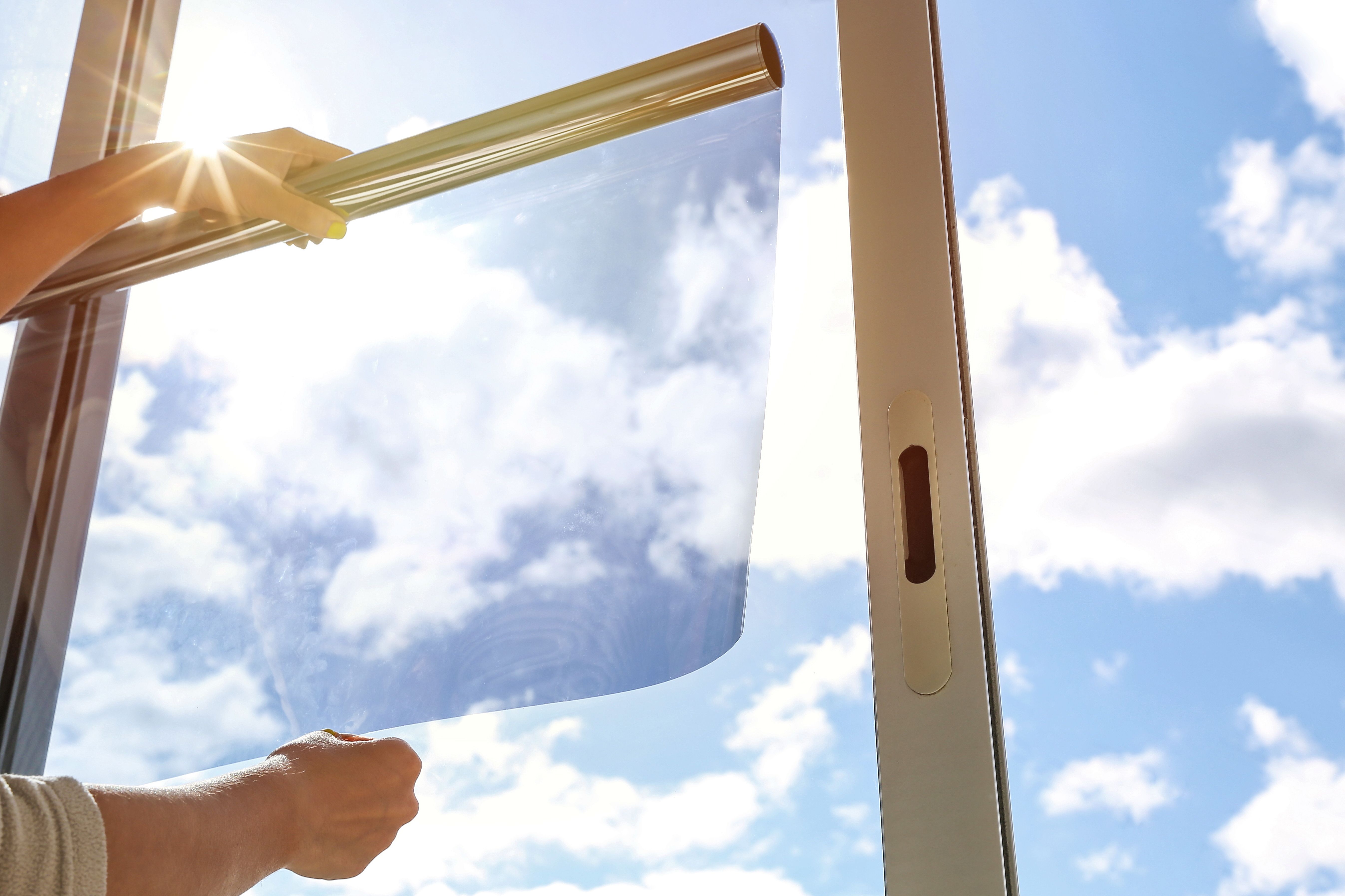 window film types