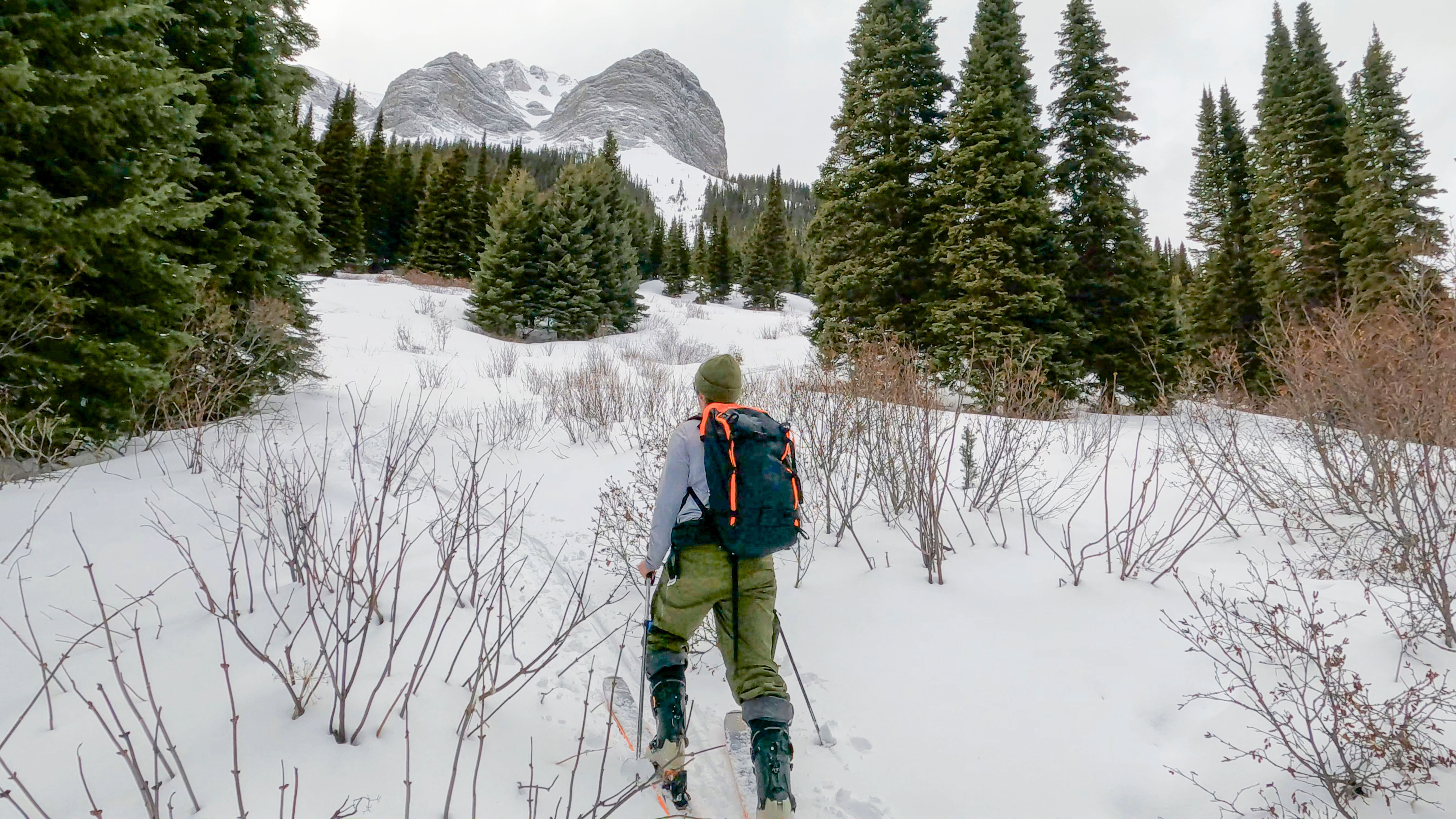 white mountains growth