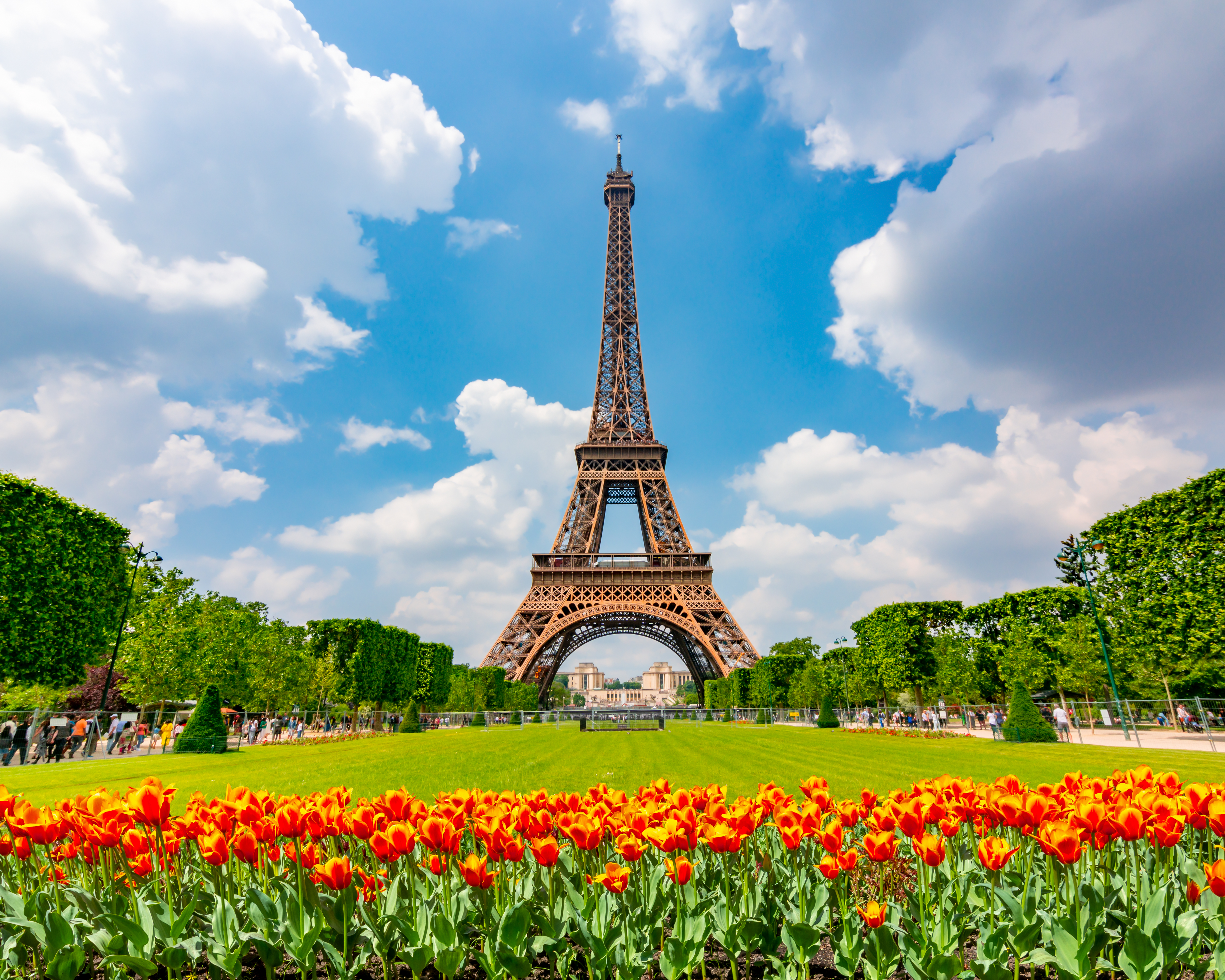Eiffel Tower and spring tulips on Field of Mars, Paris, France Eiffel Tower and spring tulips on Field of Mars, Paris, France