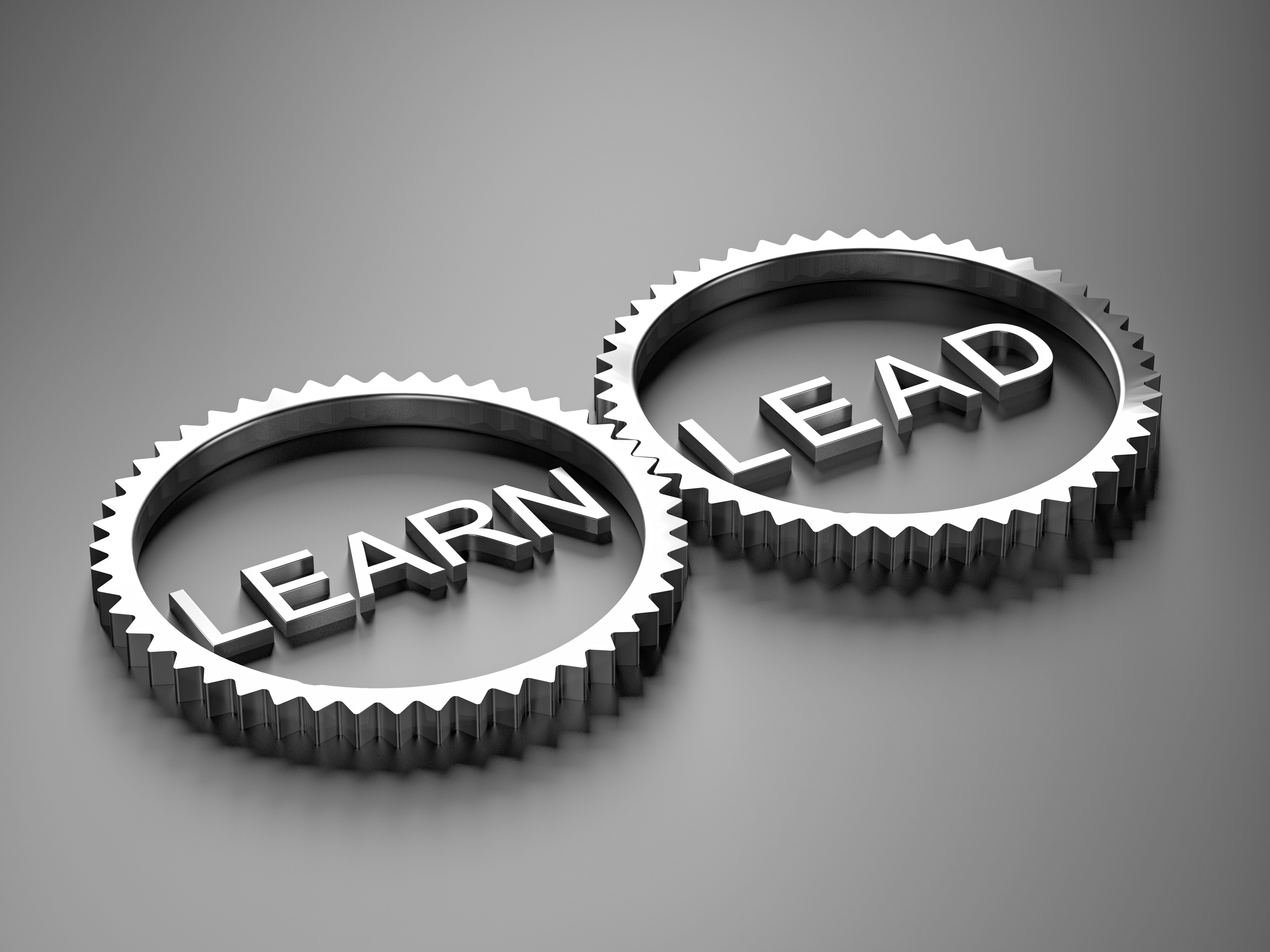 lead management