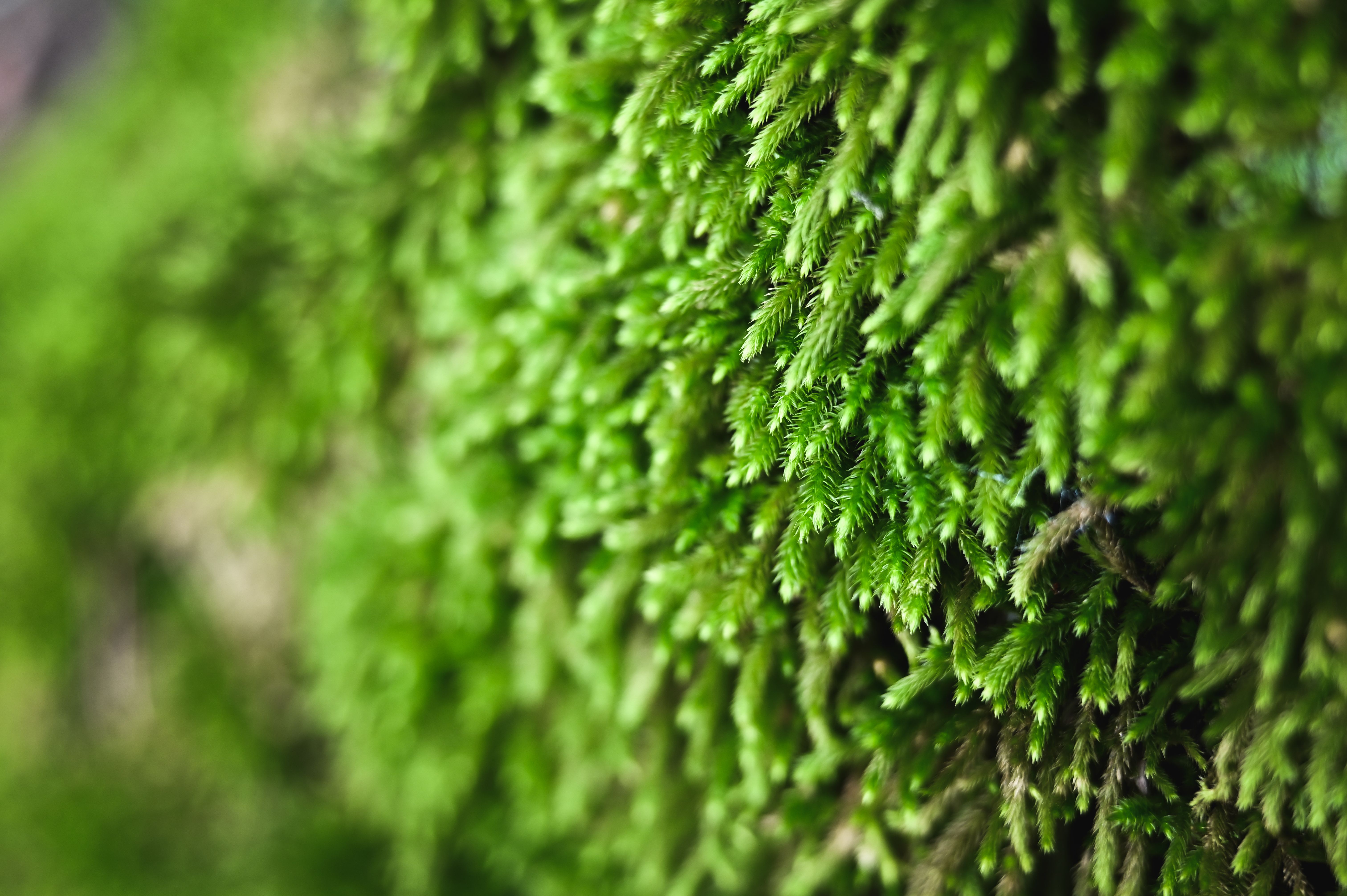 västra götaland economy