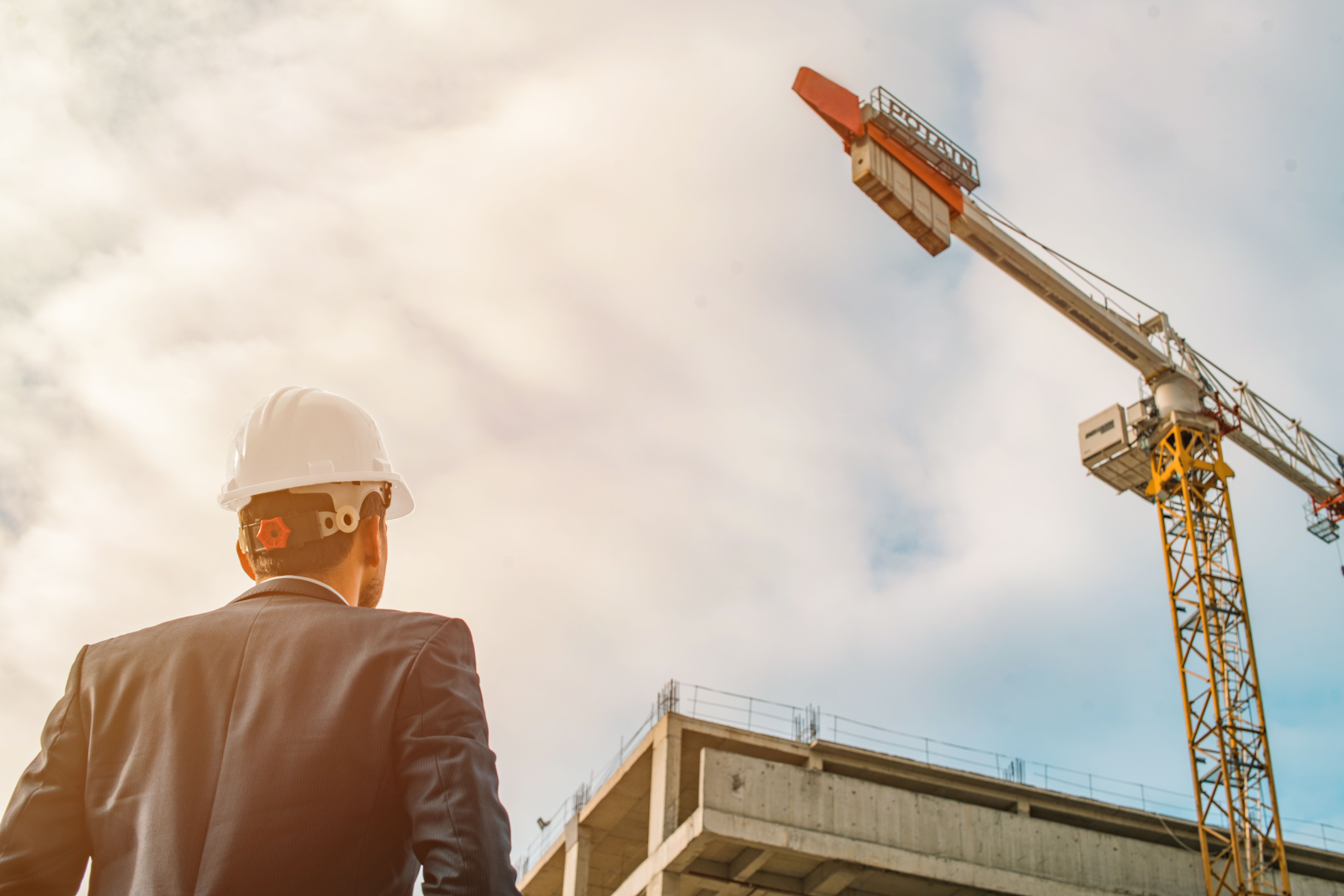 Rear view of young construction engineer man with projects and hard hat