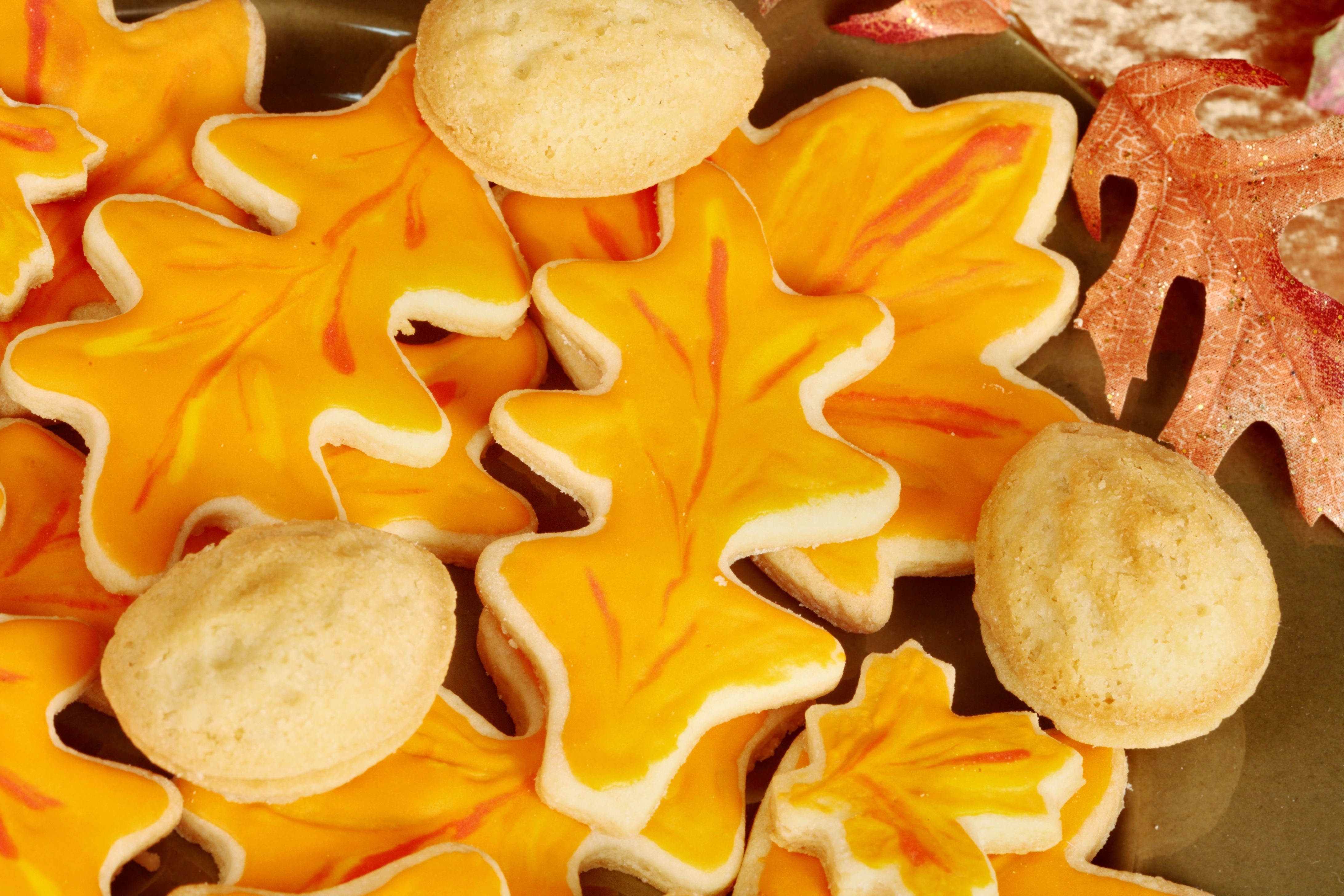 fall sugar cookies