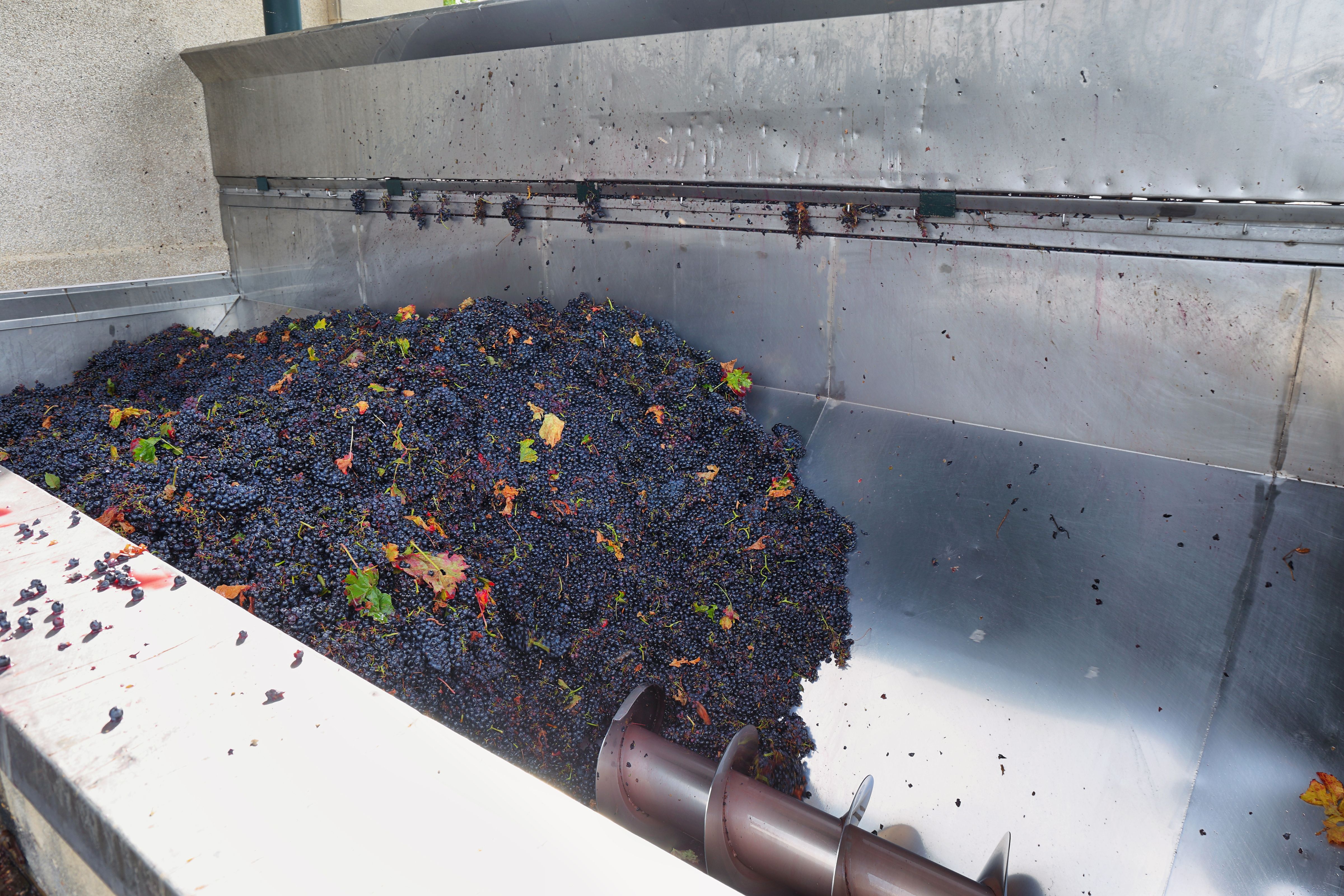 commercial grape peeler