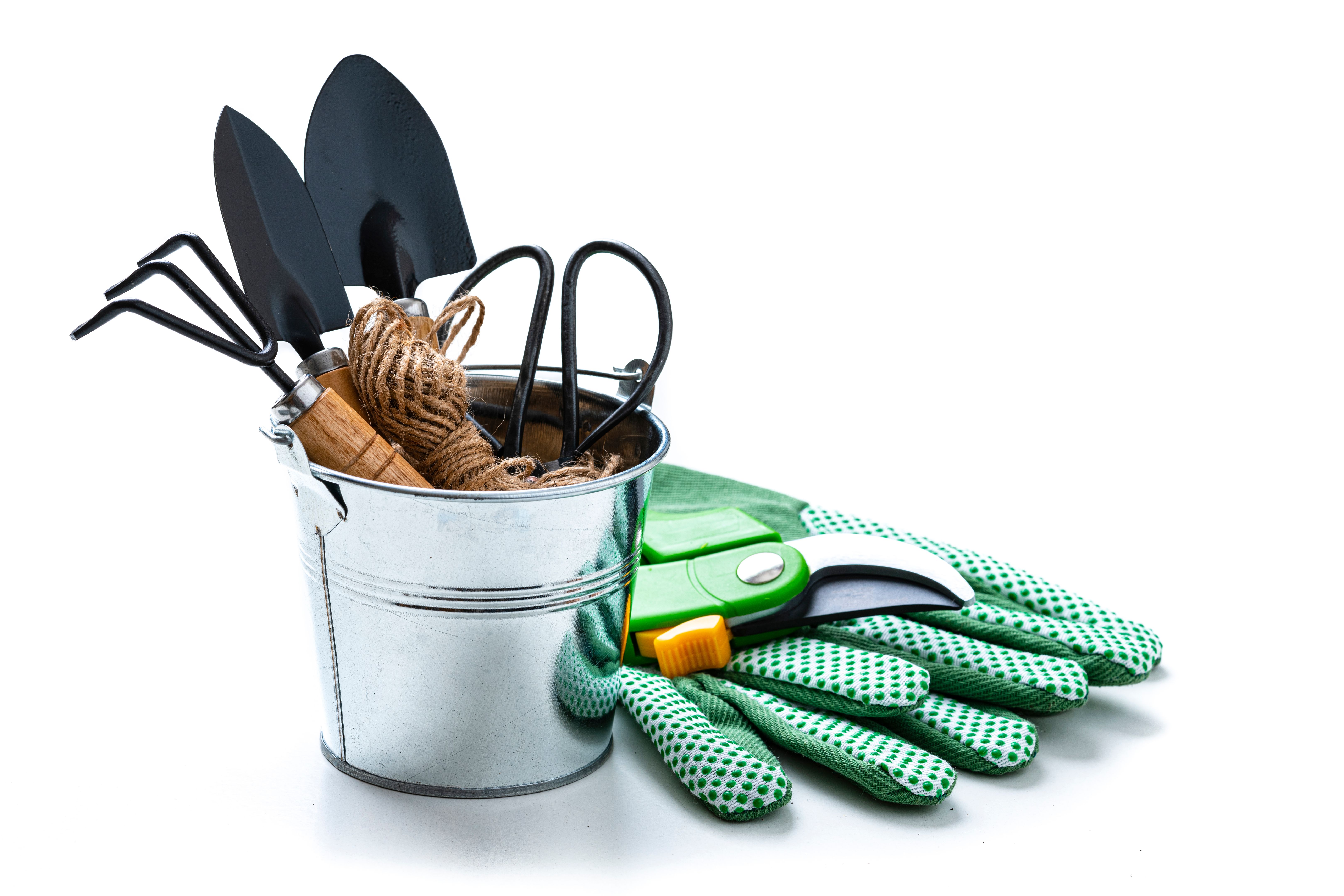 mushroom farming tools