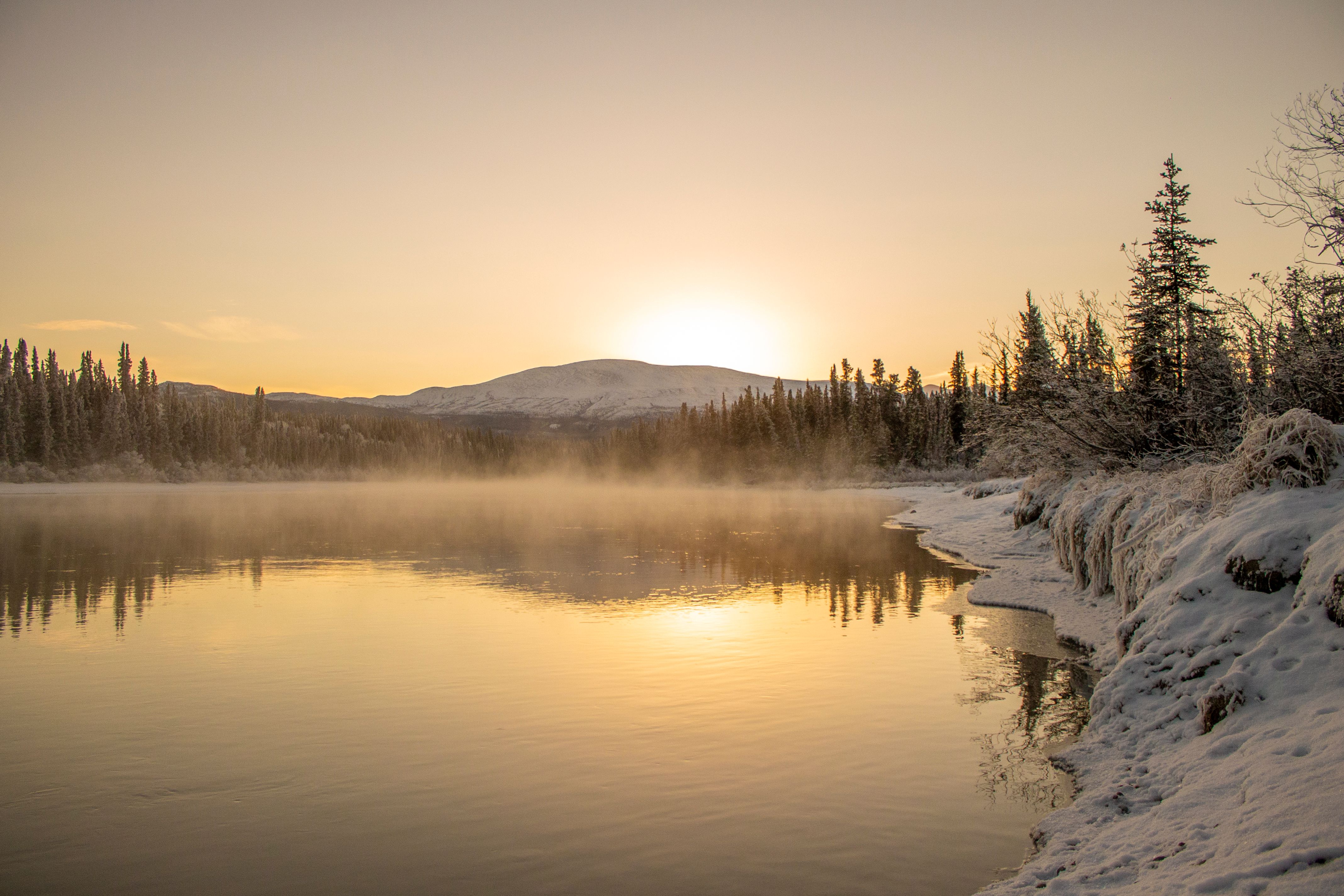 Mist rises off lake and forest at sunrise in winter Mist rises off lake and forest at sunrise in winter
