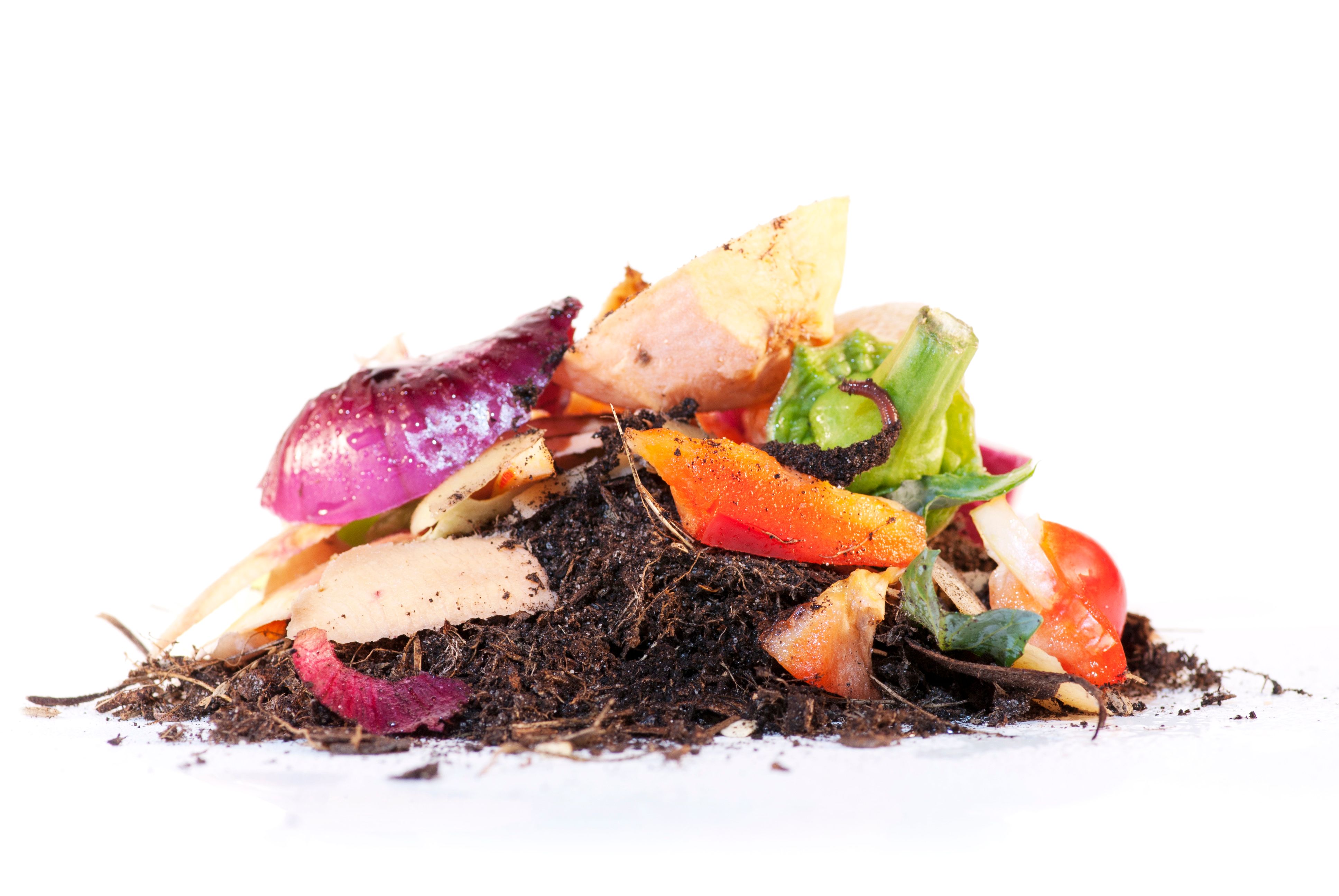 composting process