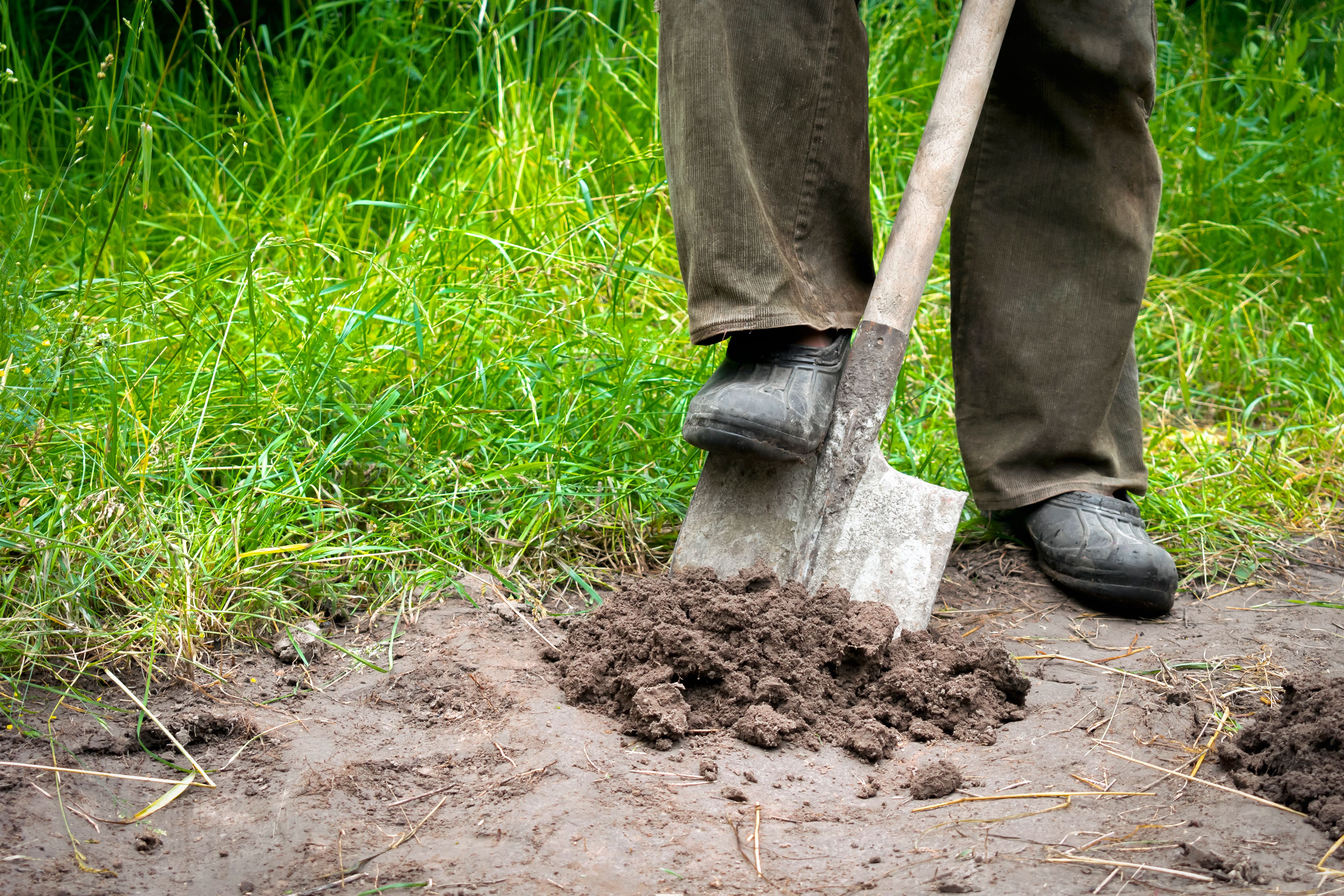 Close up of man legs digging soil, ground with shovel in rubber boots in garden