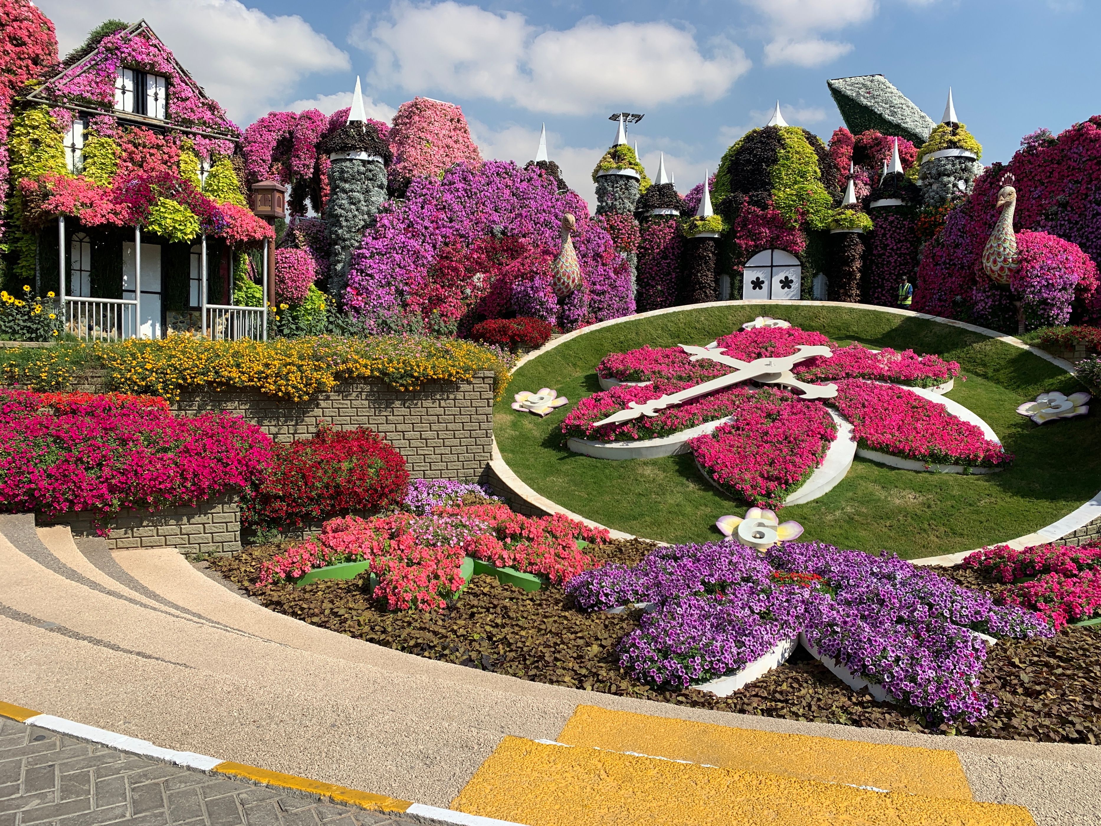 pink flowers at miracle garden dubai