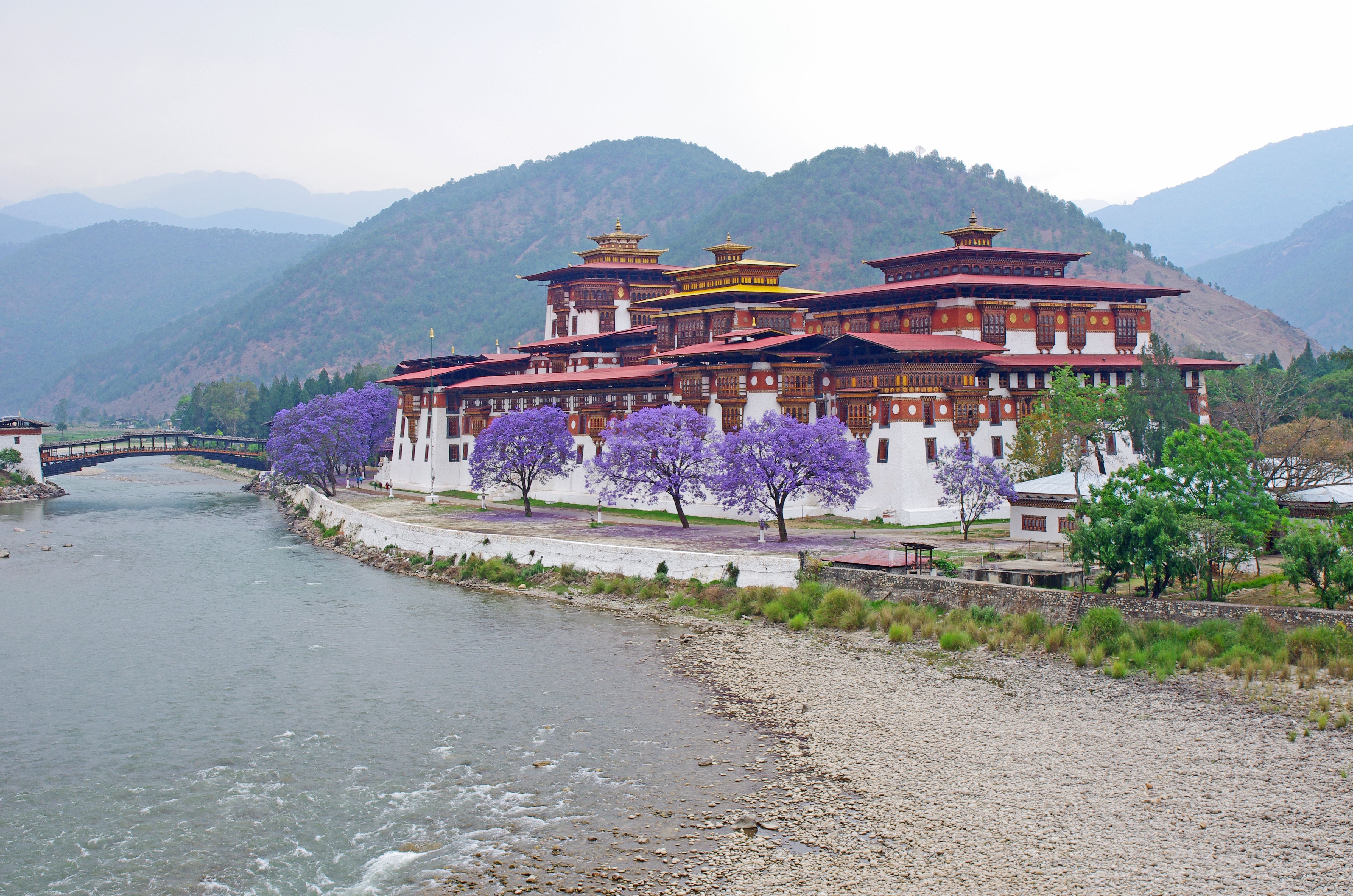bhutan spring