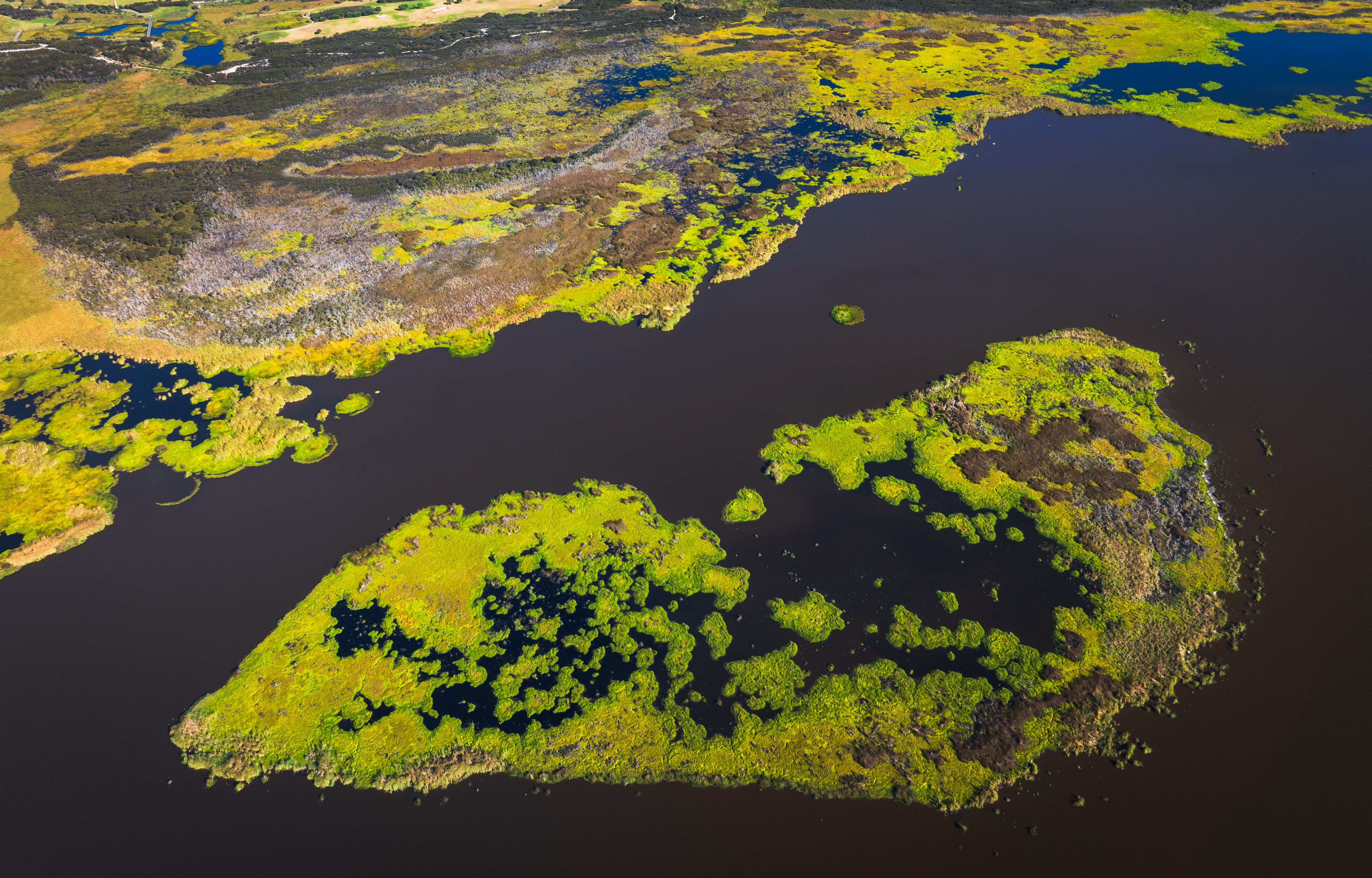 environmental impact