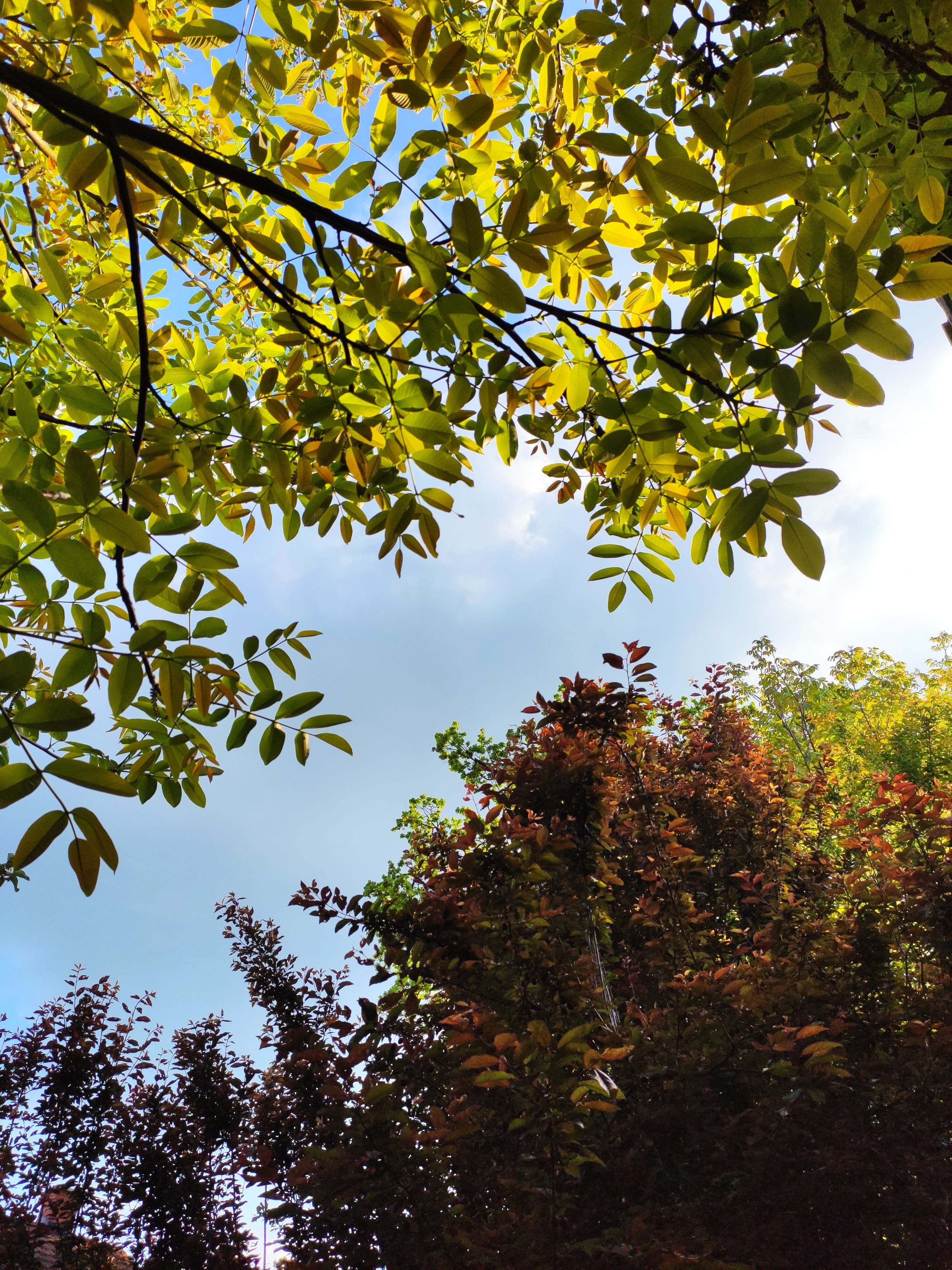bosnia autumn colors