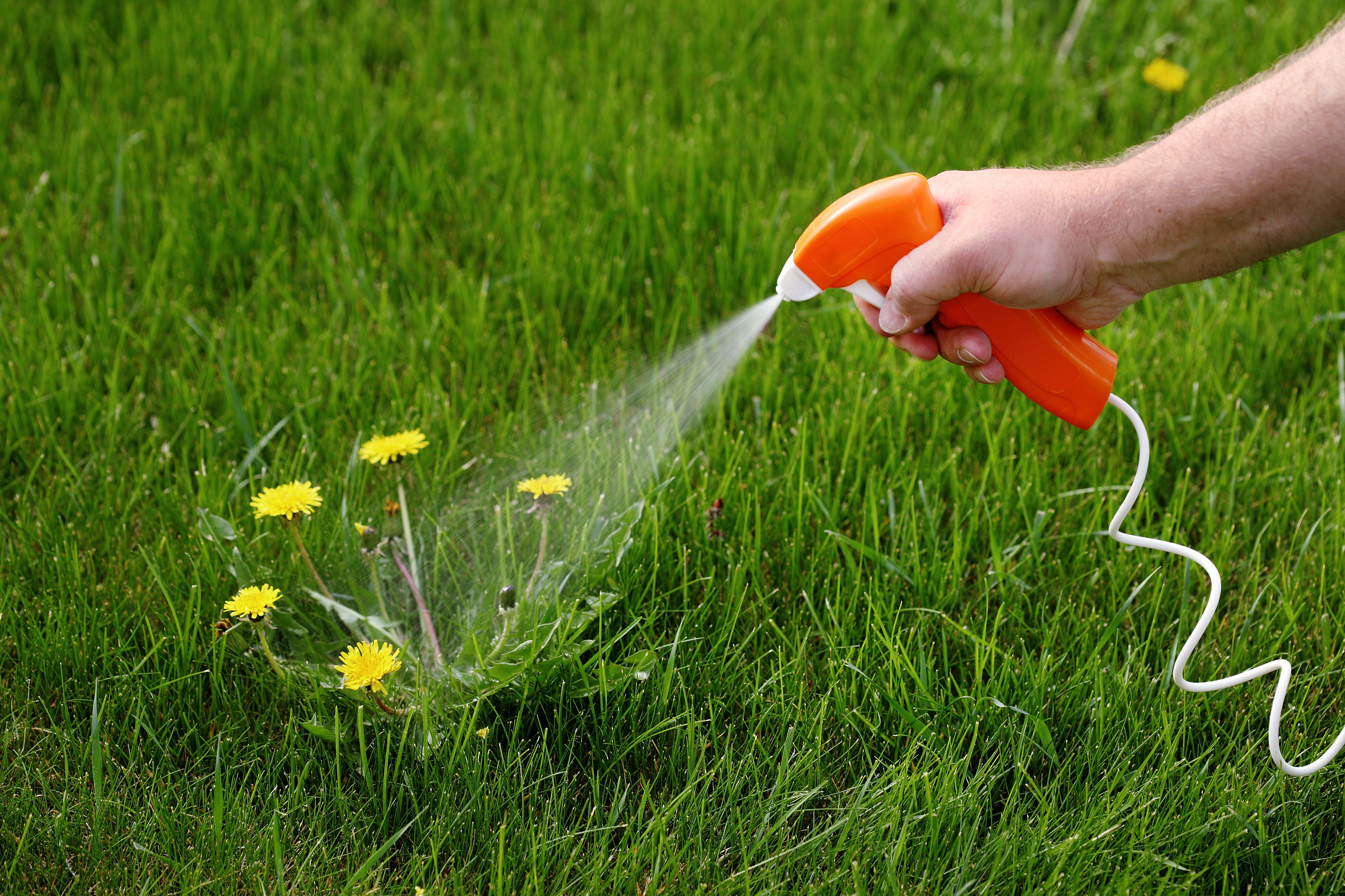 herbicide spray