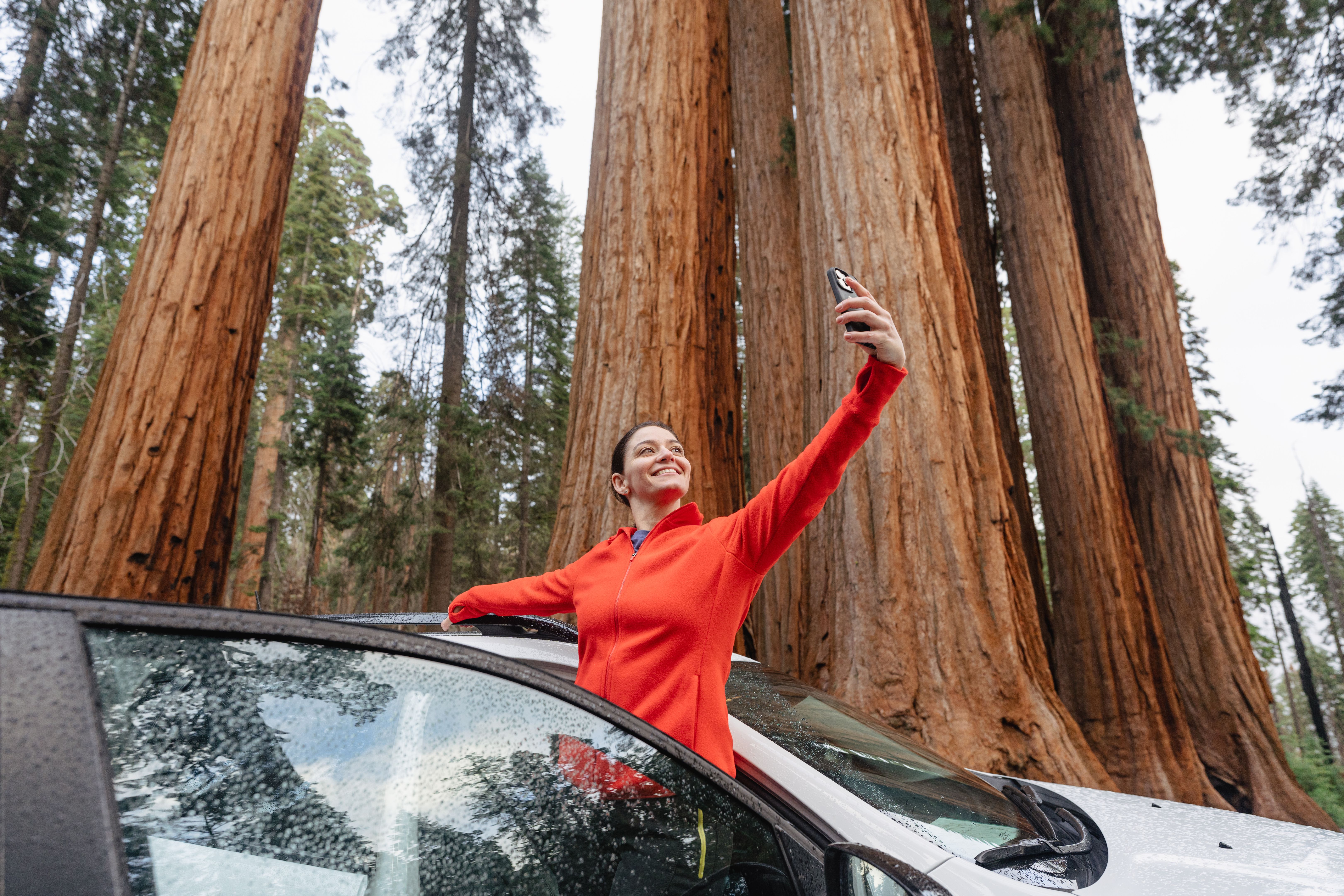 seasonal social media